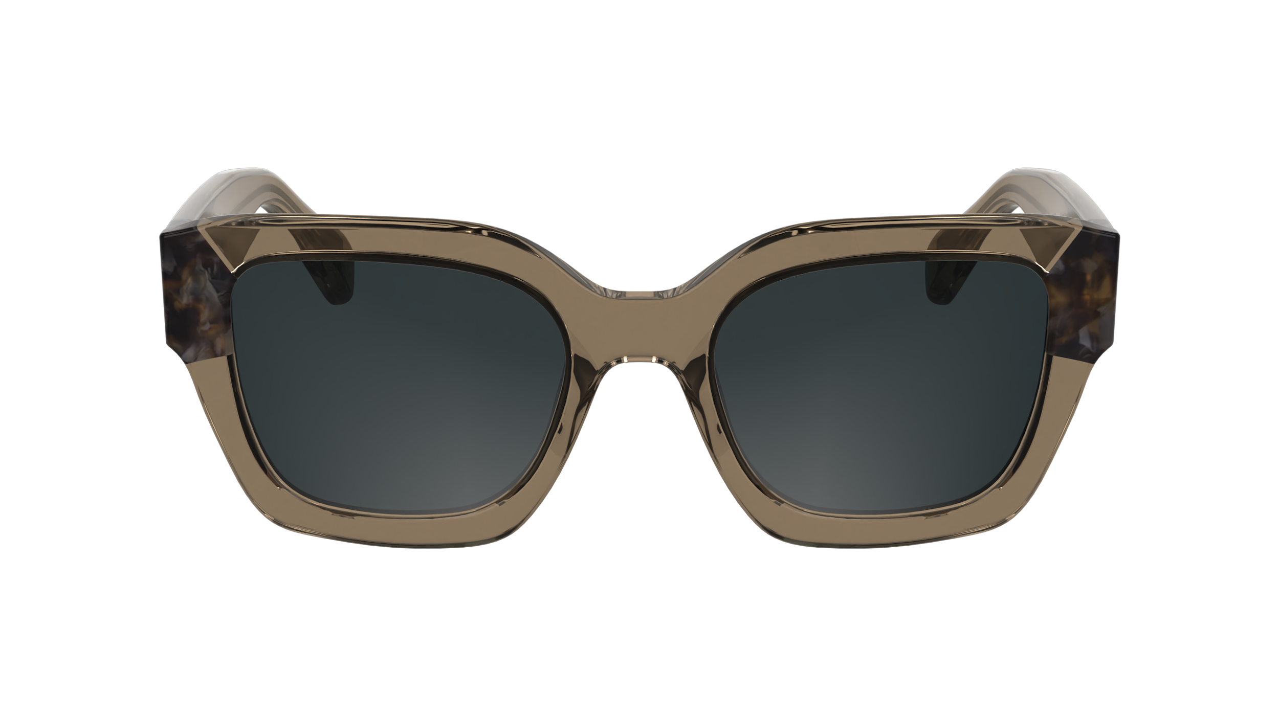 LO771S 204 Occhiali da sole LONGCHAMP 2