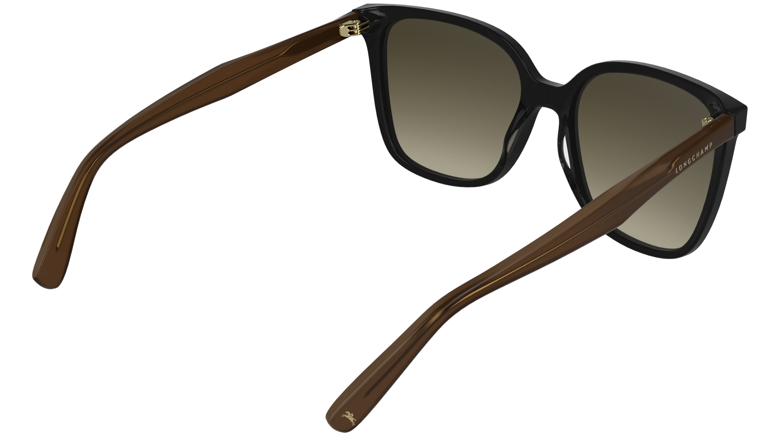 LONGCHAMP LO807S 001 Occhiali da sole LONGCHAMP 6