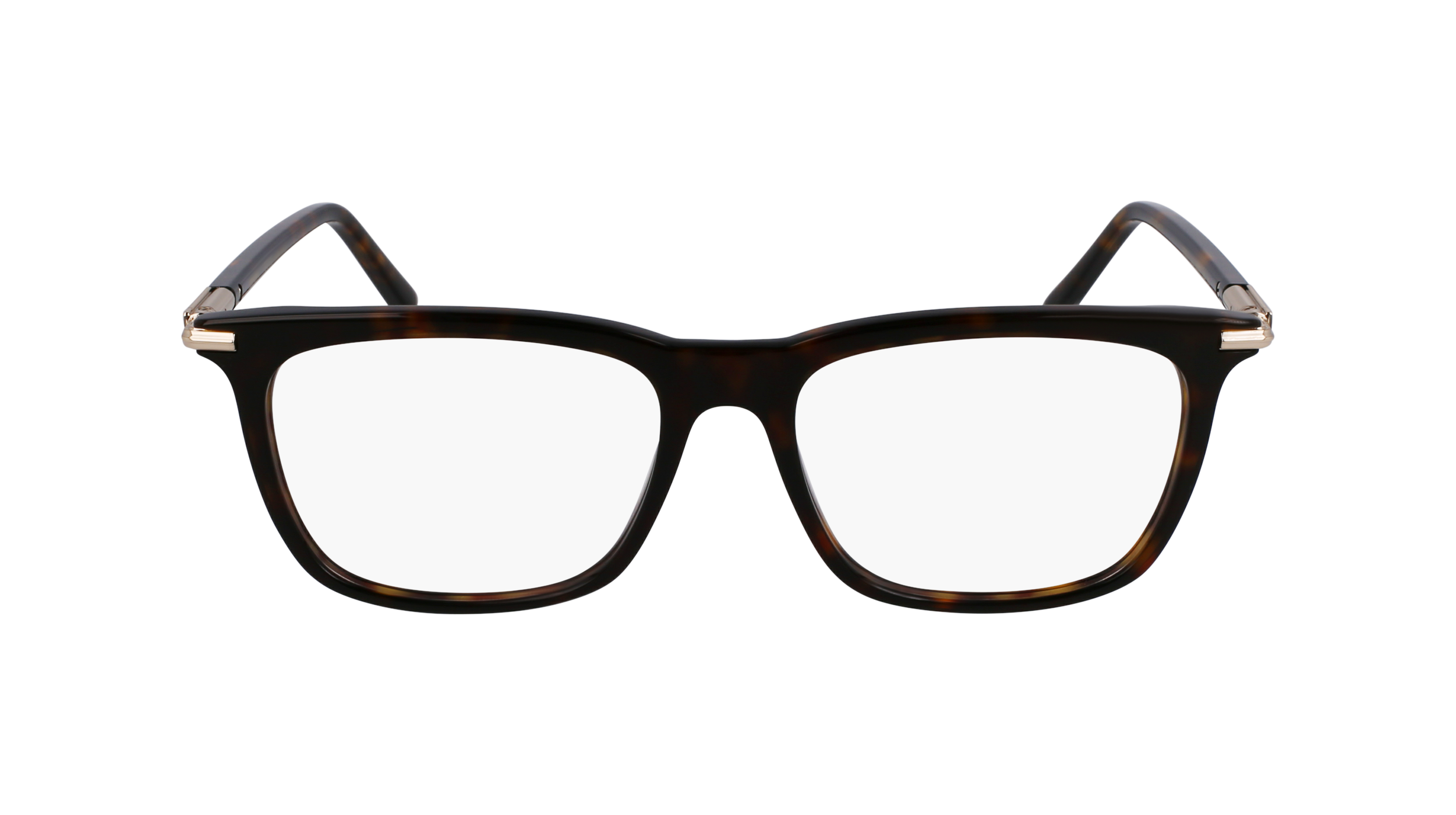 SF3007 242 Montature da vista Ferragamo 2