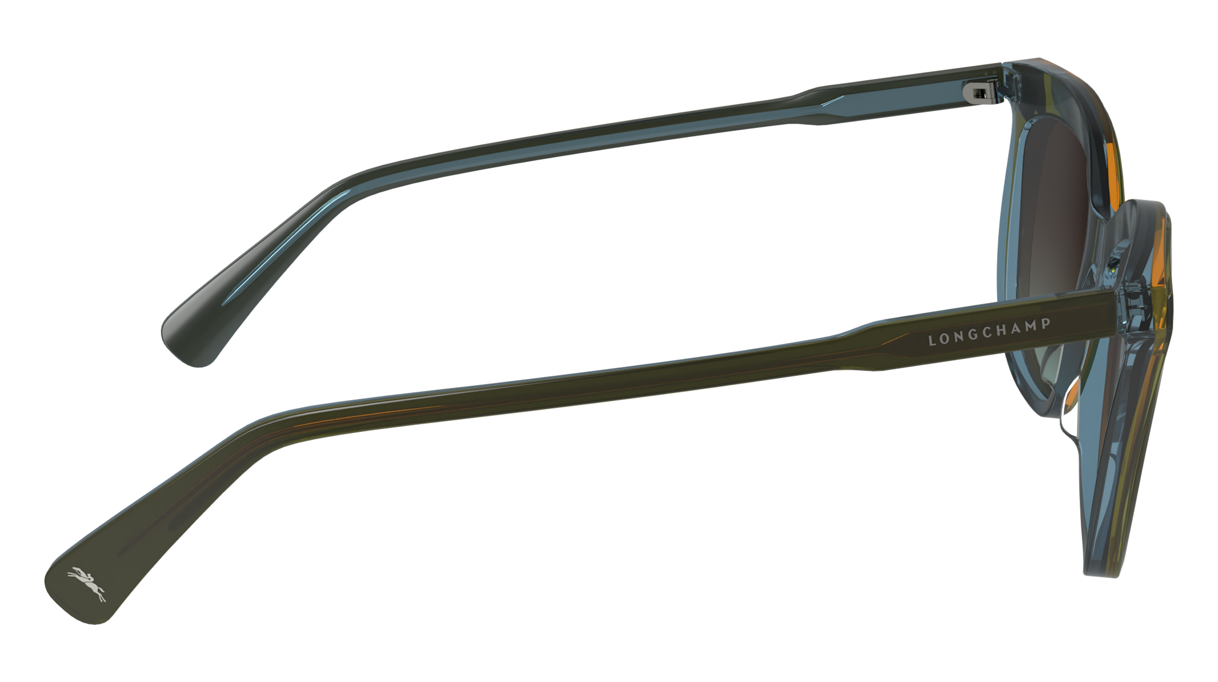 LO738S 310 Occhiali da sole LONGCHAMP 10