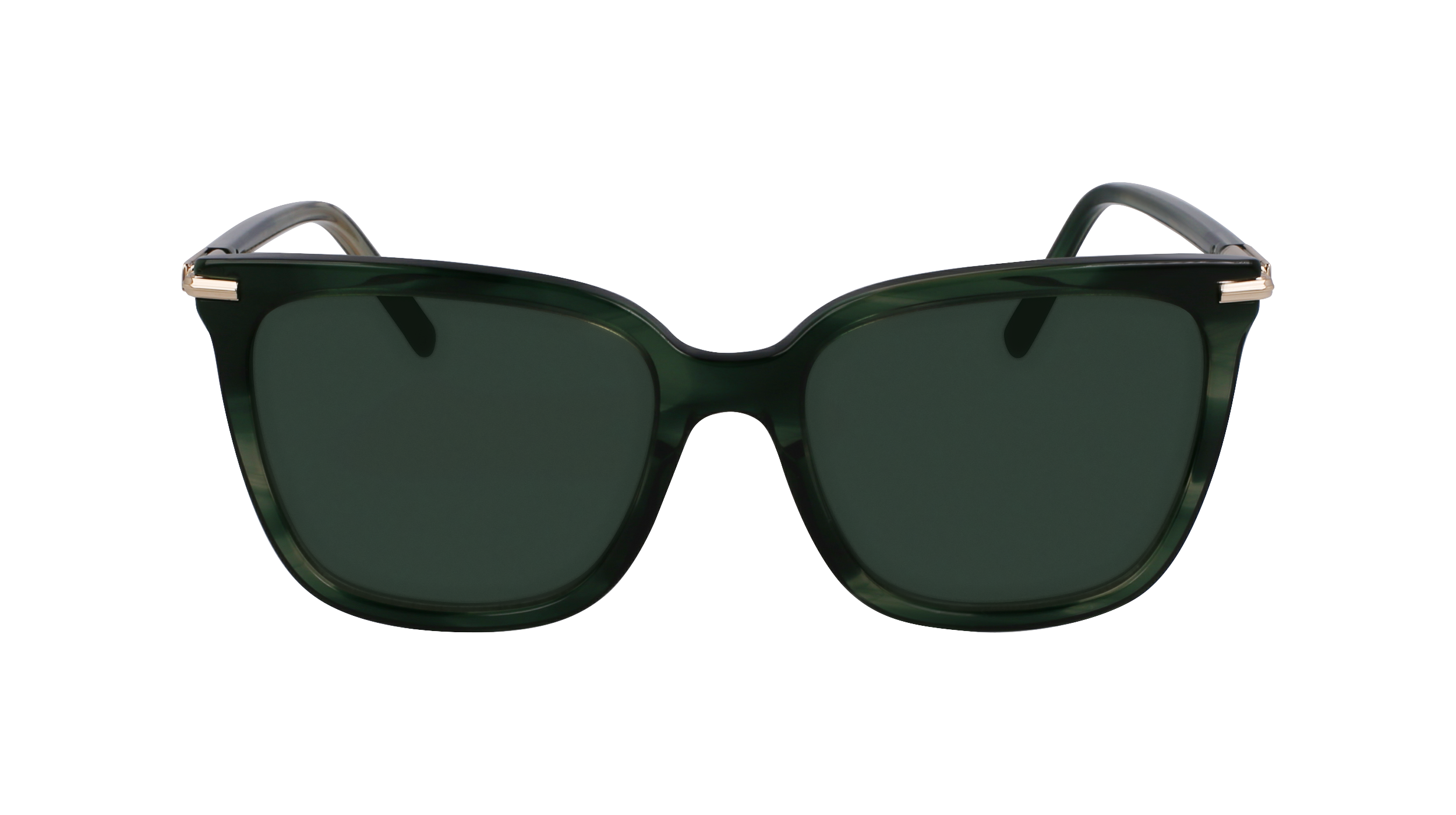 SF2037S 315 Occhiali da sole Ferragamo 2