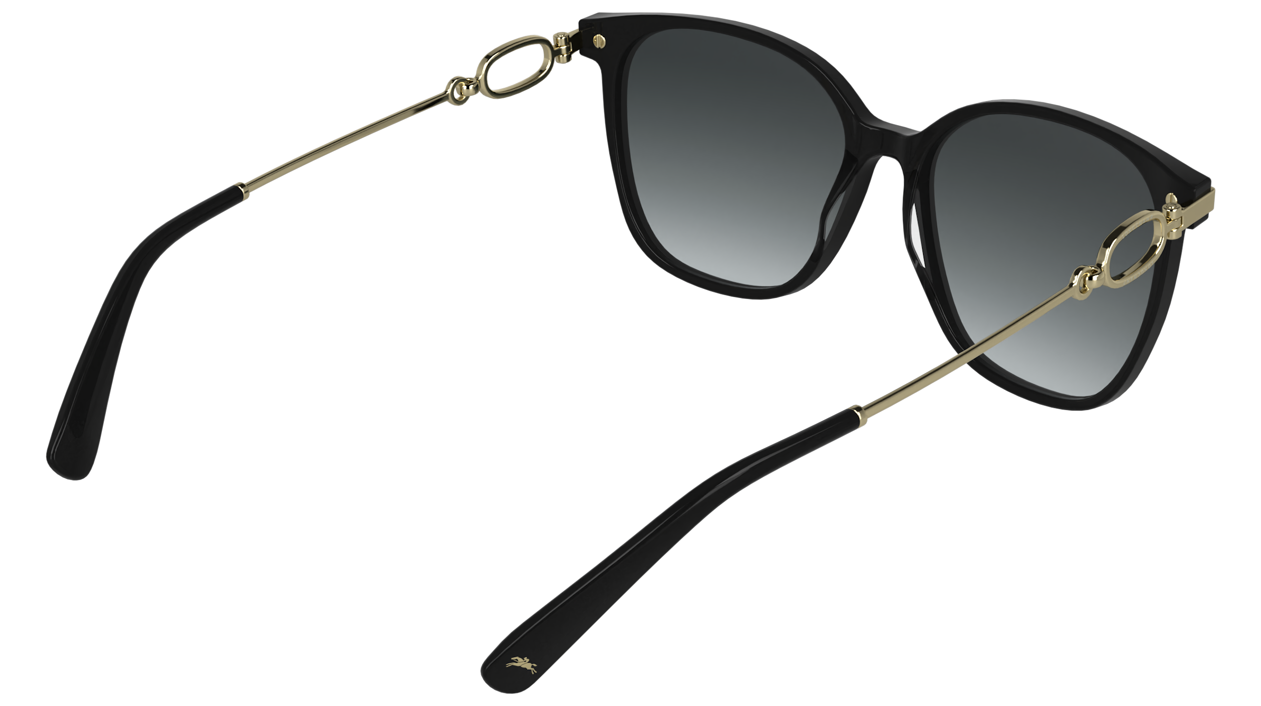 LONGCHAMP LO805S 001