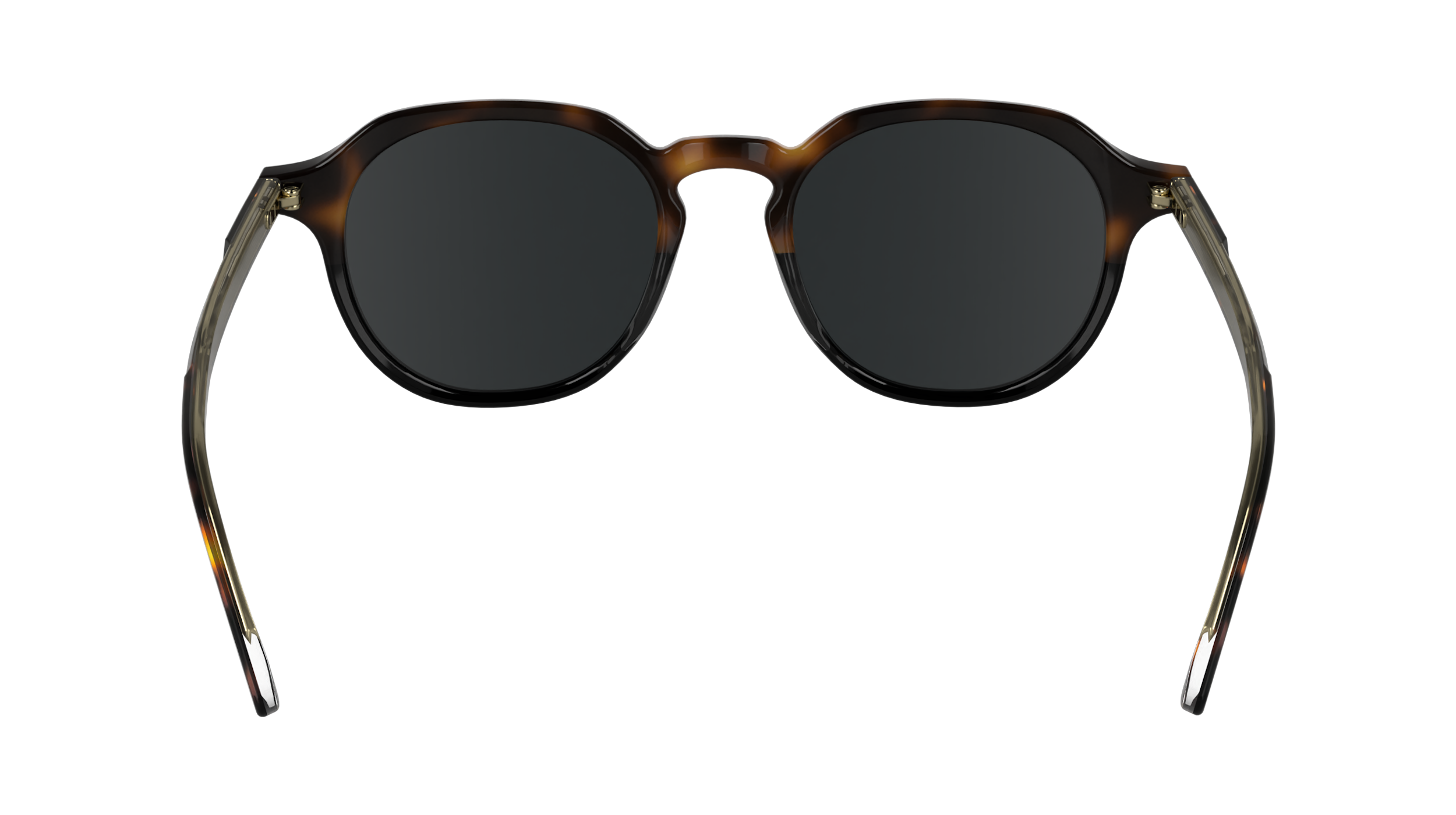 CK24538S 233 Occhiali da sole Calvin Klein 6