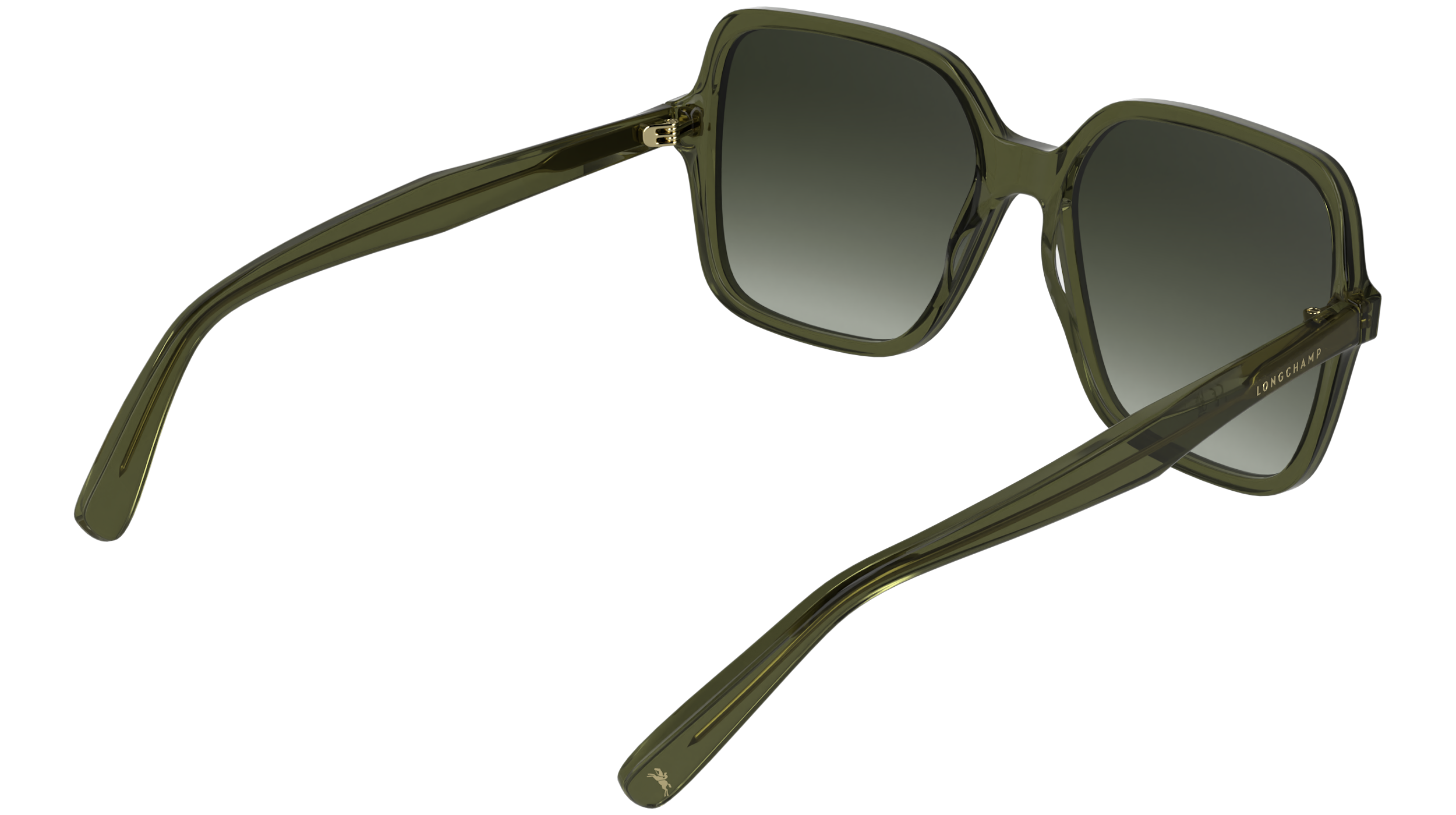 LONGCHAMP LO808S 319