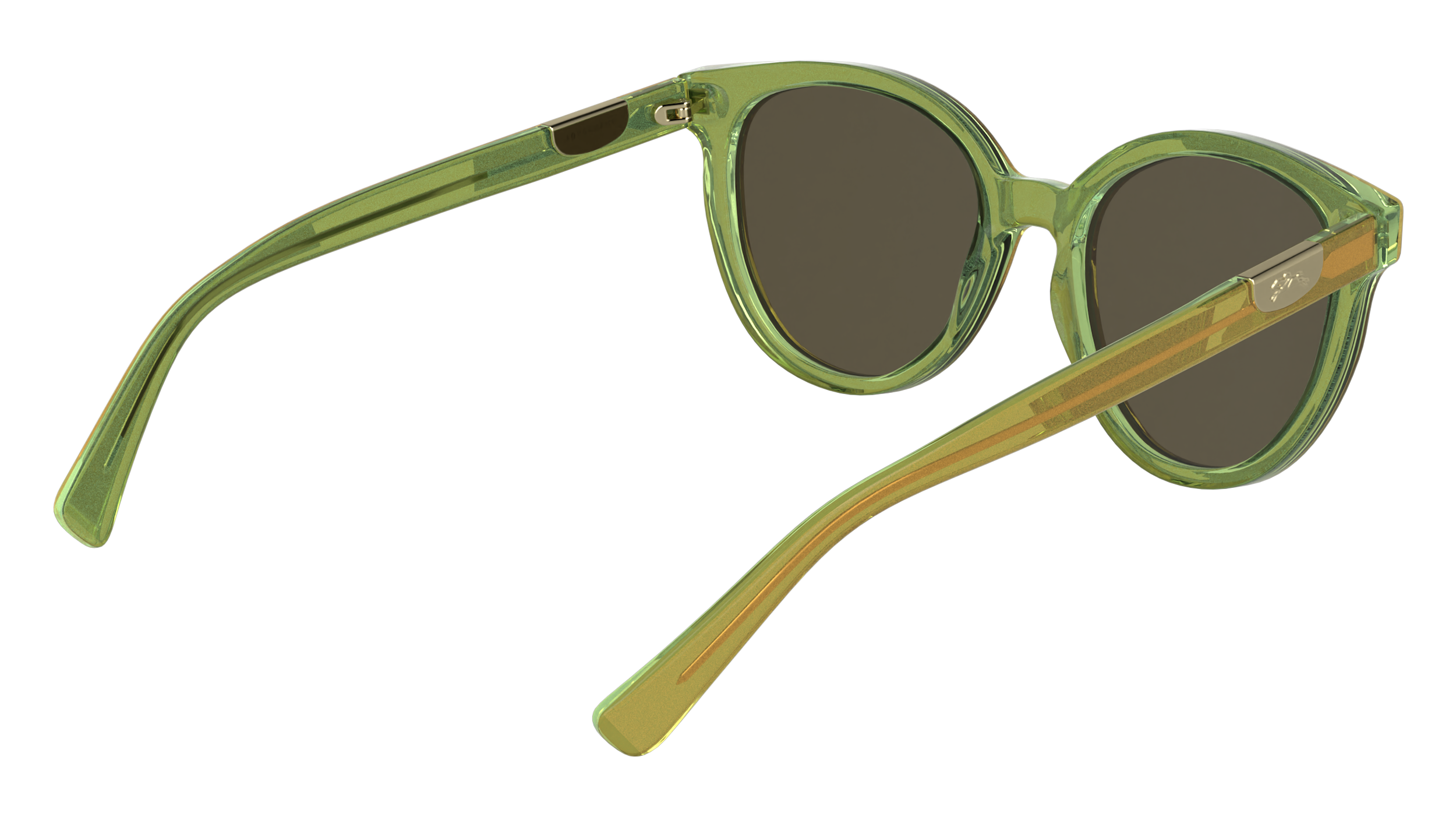 LO773S 317 Occhiali da sole LONGCHAMP 6