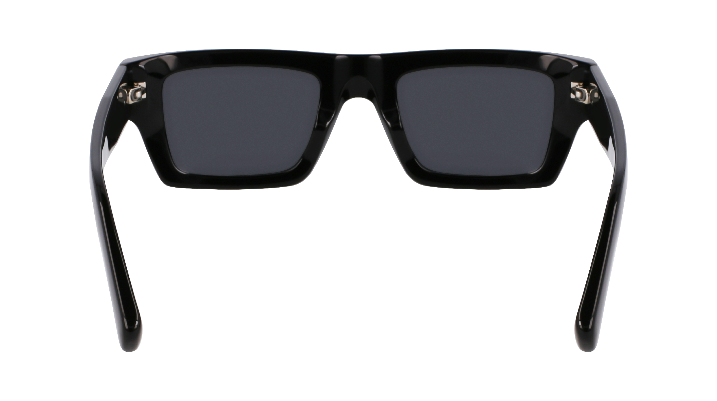 SF2034S 001 Occhiali da sole Ferragamo 6