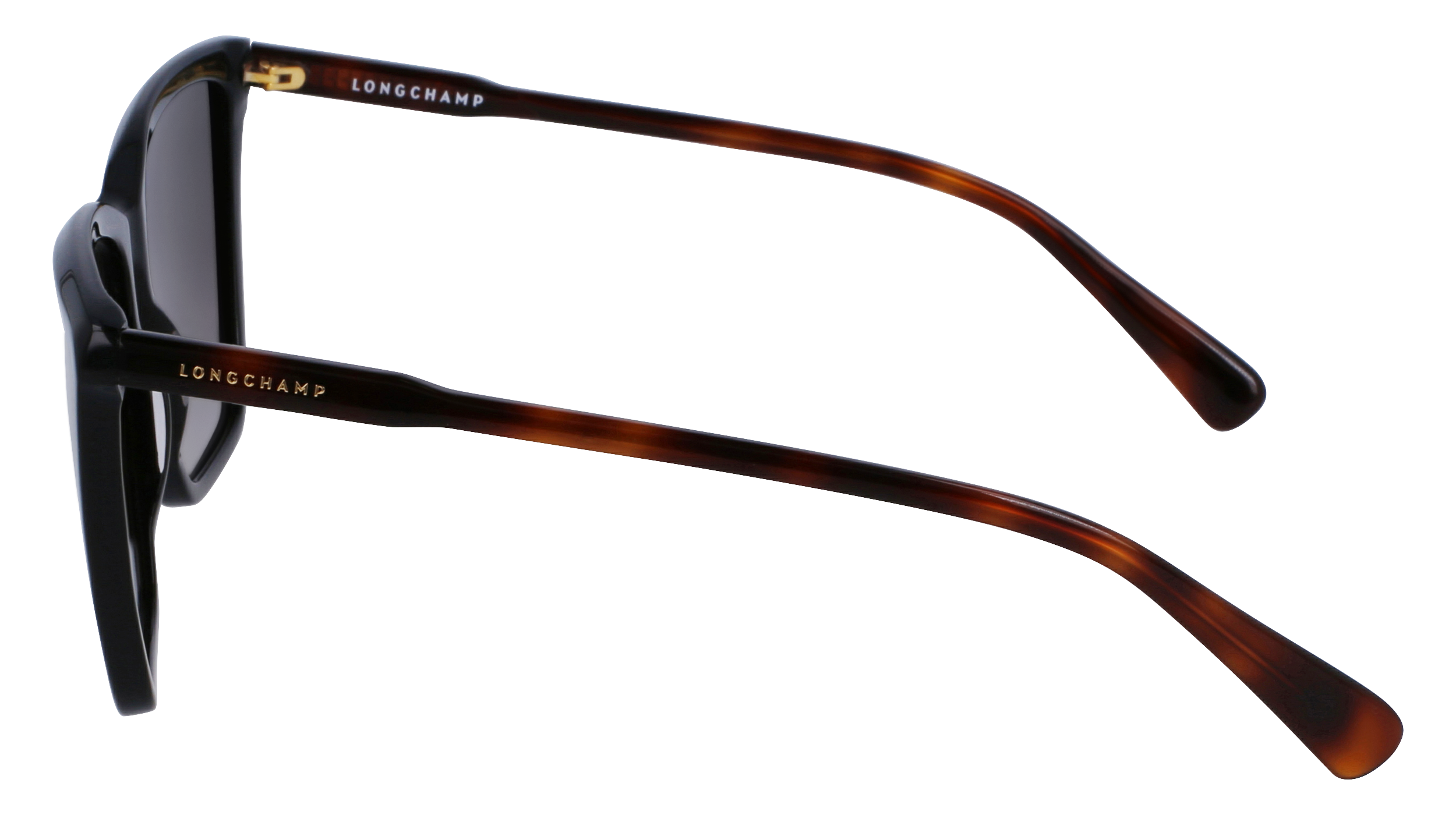 LO719S 1 Occhiali da sole LONGCHAMP 4