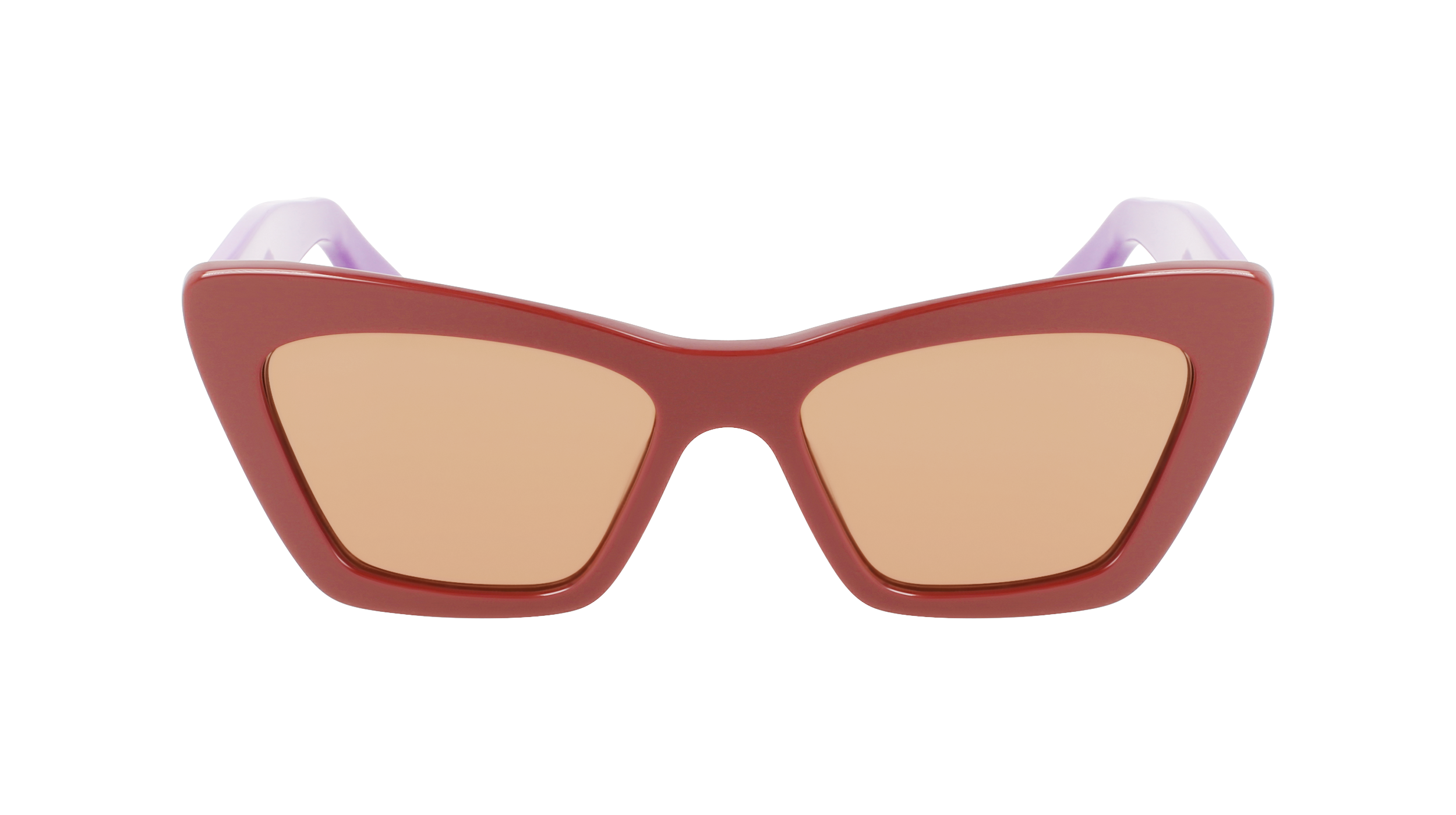 SF929S 209 Occhiali da sole Ferragamo 3
