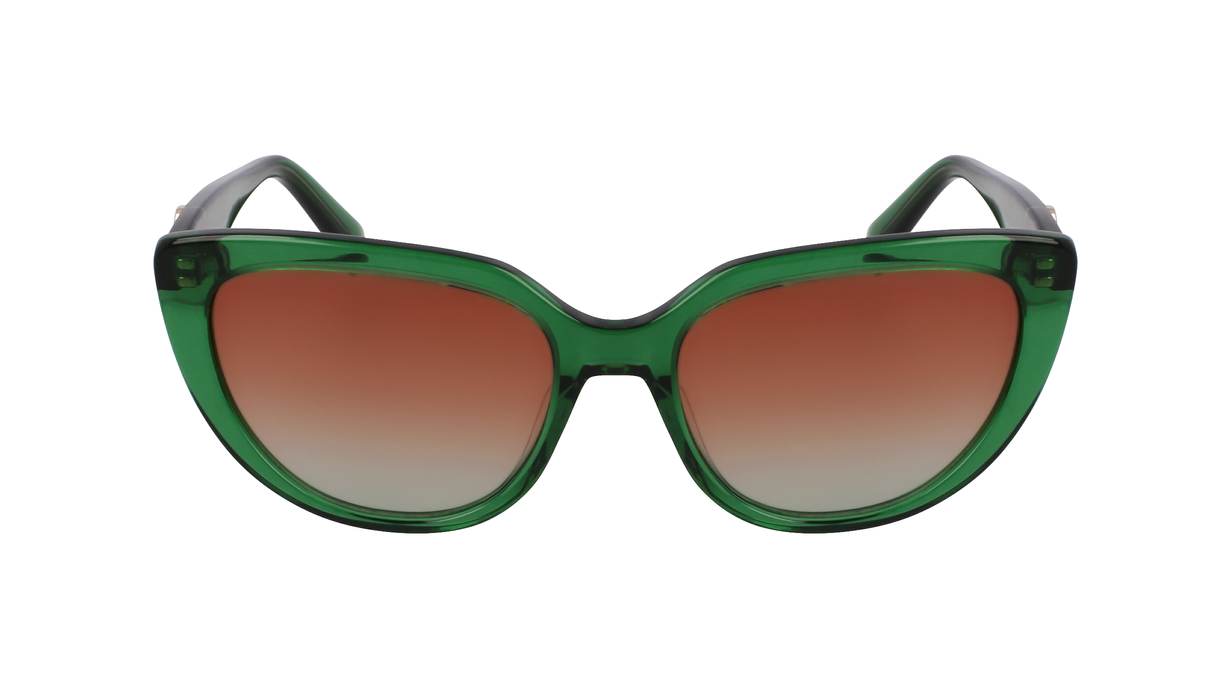 LO766S 300 Occhiali da sole LONGCHAMP 2