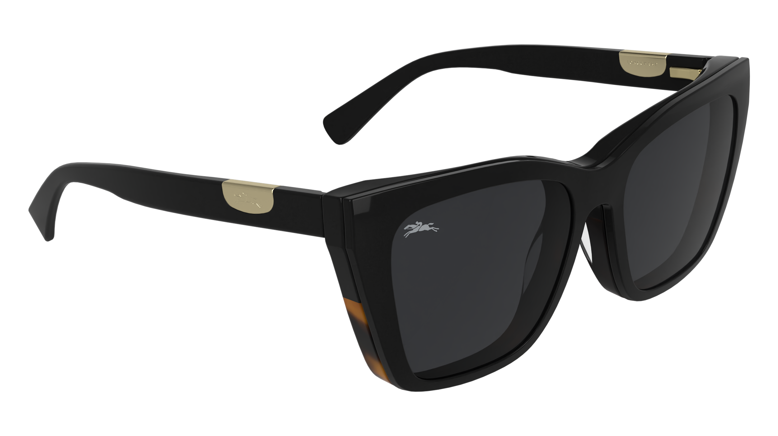 LONGCHAMP LO2786MAG-SET 011