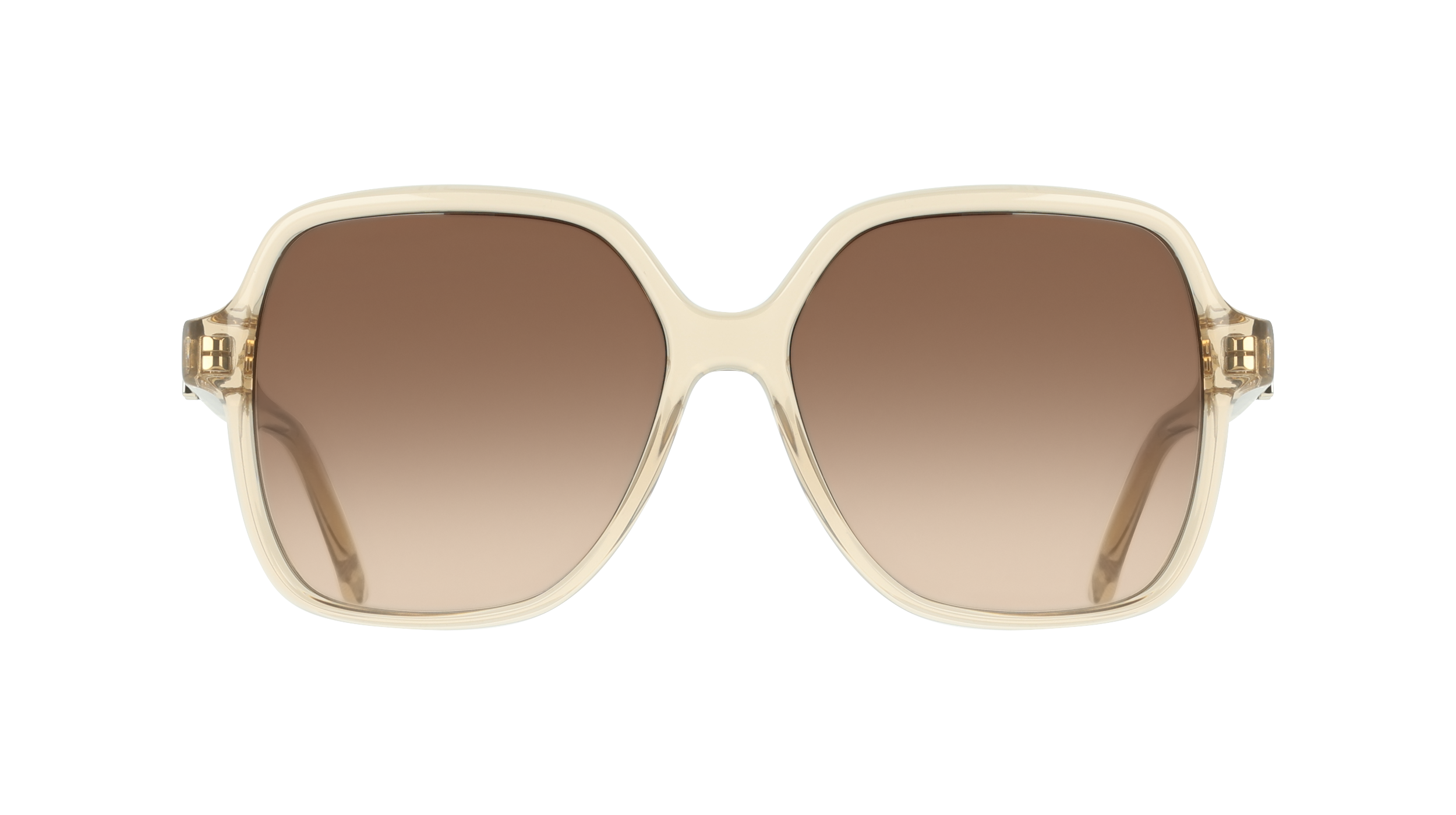 SF2069SE 259 Occhiali da sole Ferragamo 2