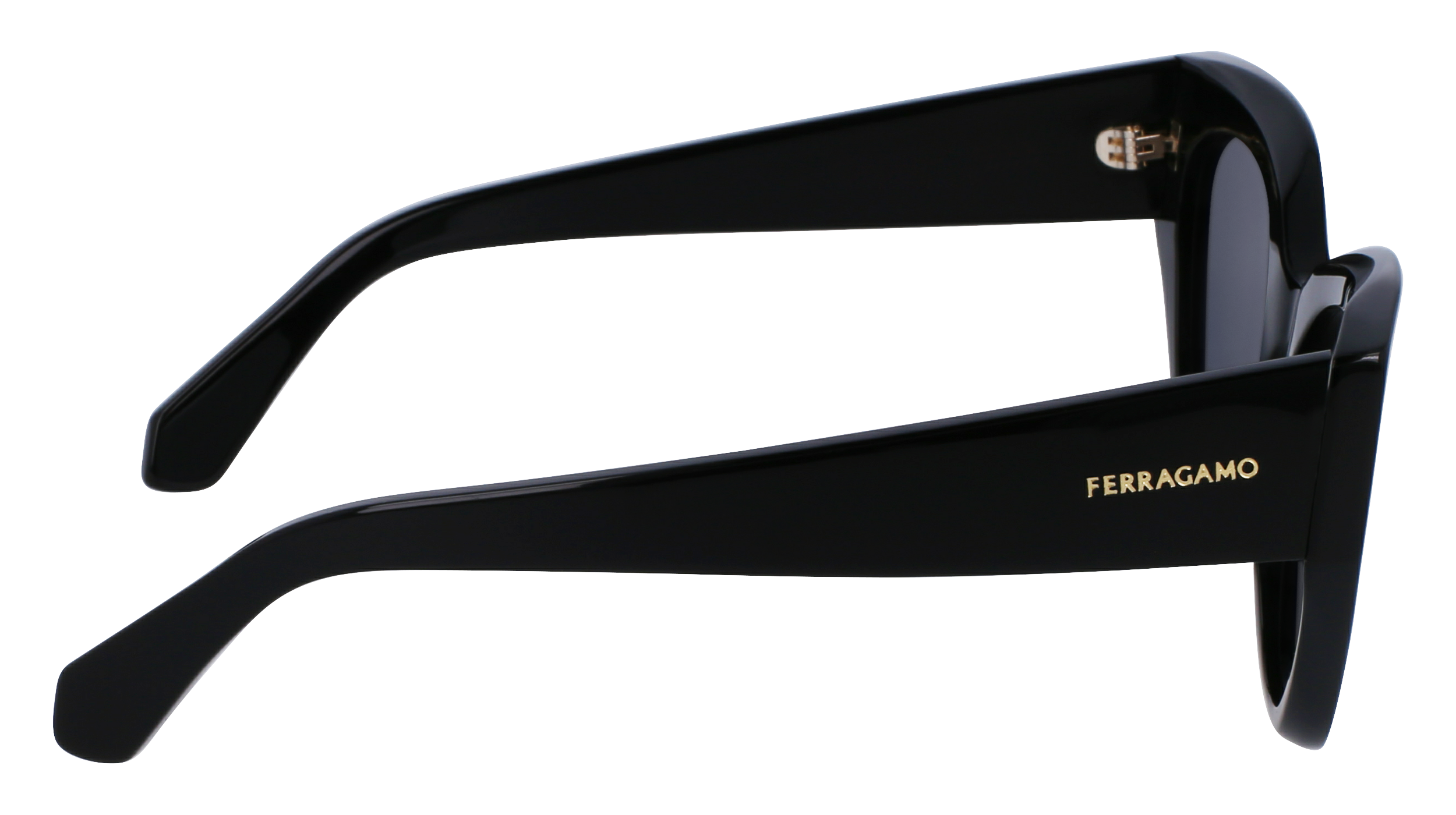 SF1107S 001 Occhiali da sole Ferragamo 10