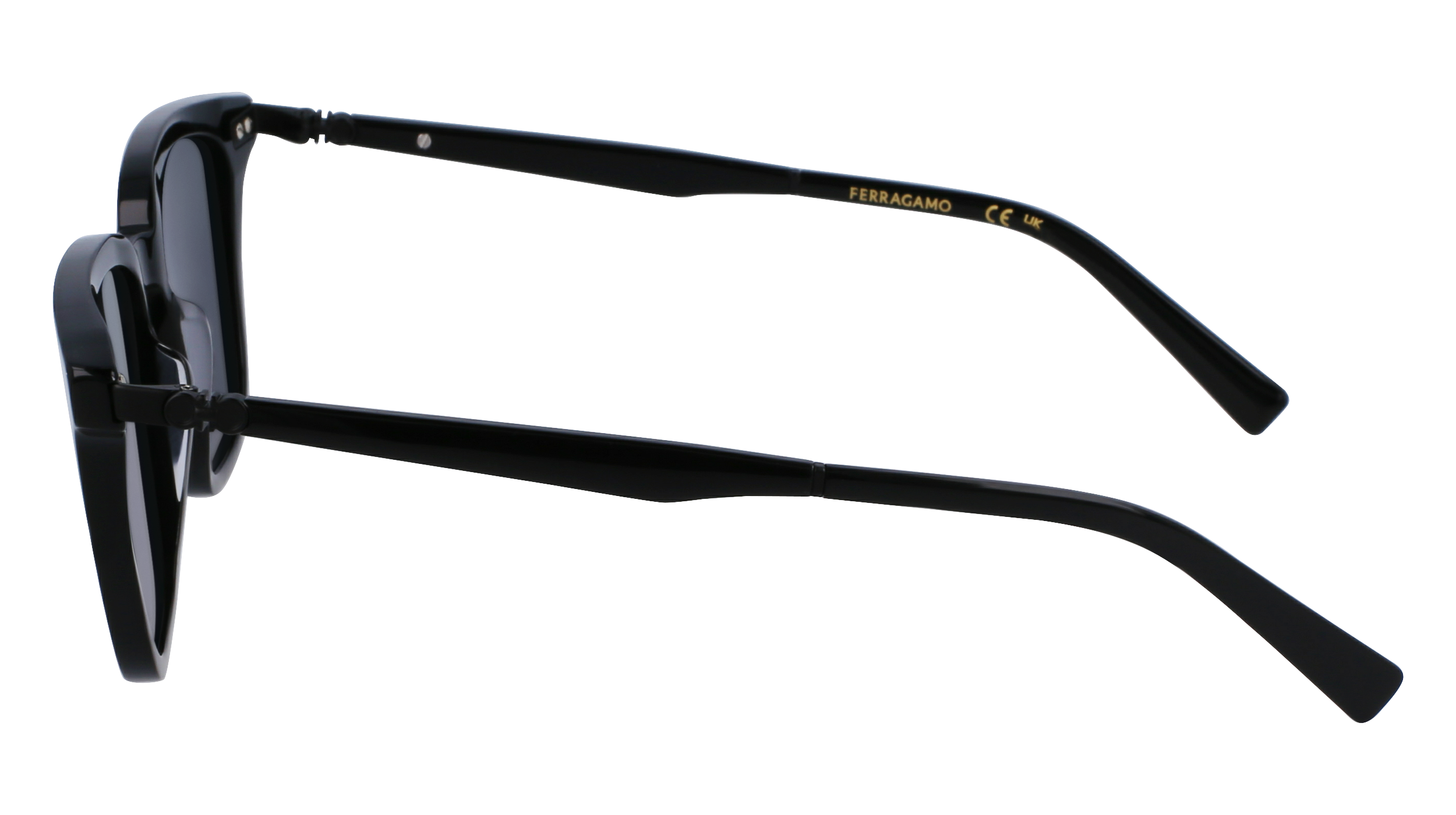 SF1100S 001 Occhiali da sole Ferragamo 4