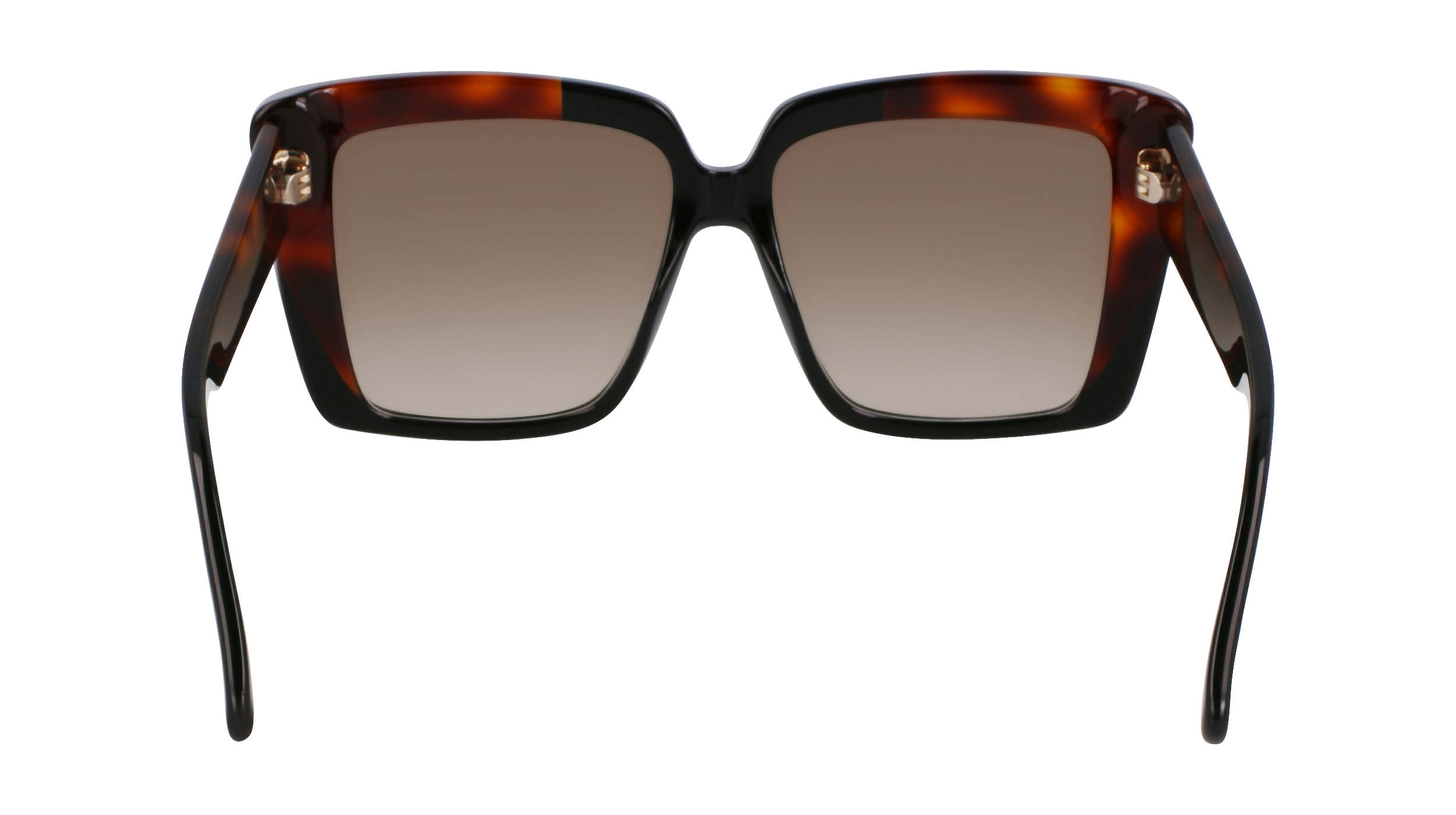 SF1060SN 006 Occhiali da sole Ferragamo 6