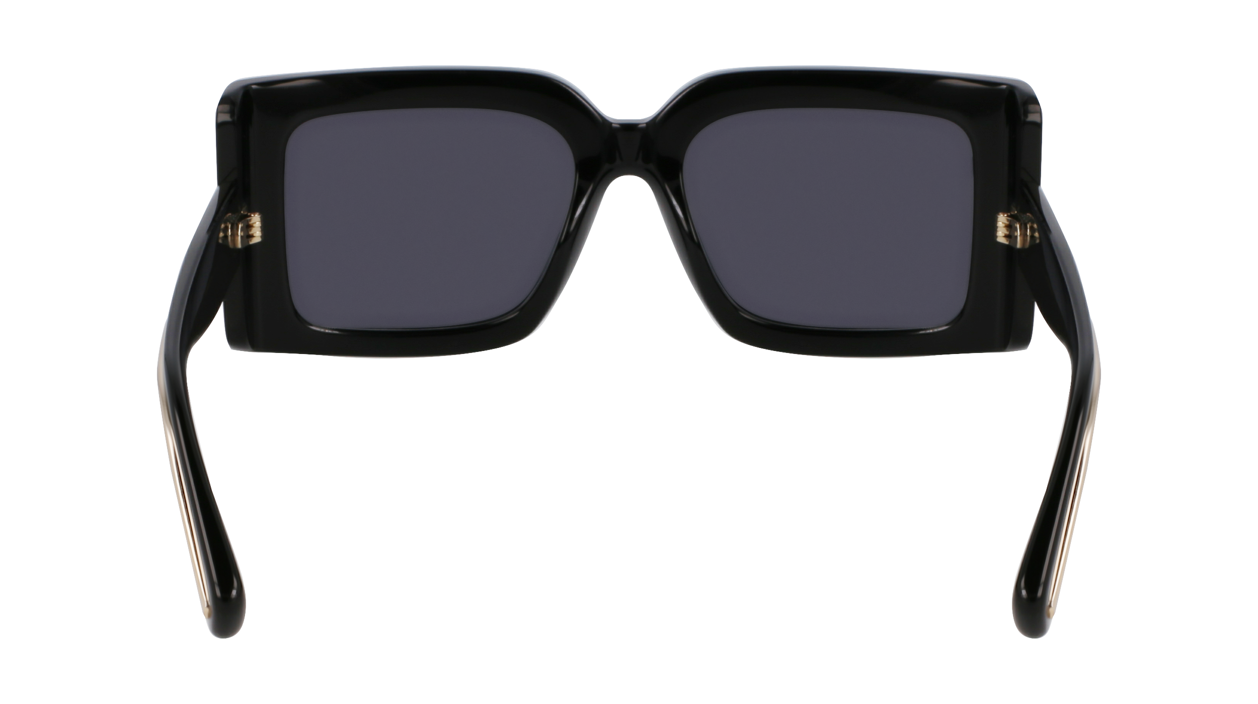 SF2032S 001 Occhiali da sole Ferragamo 6