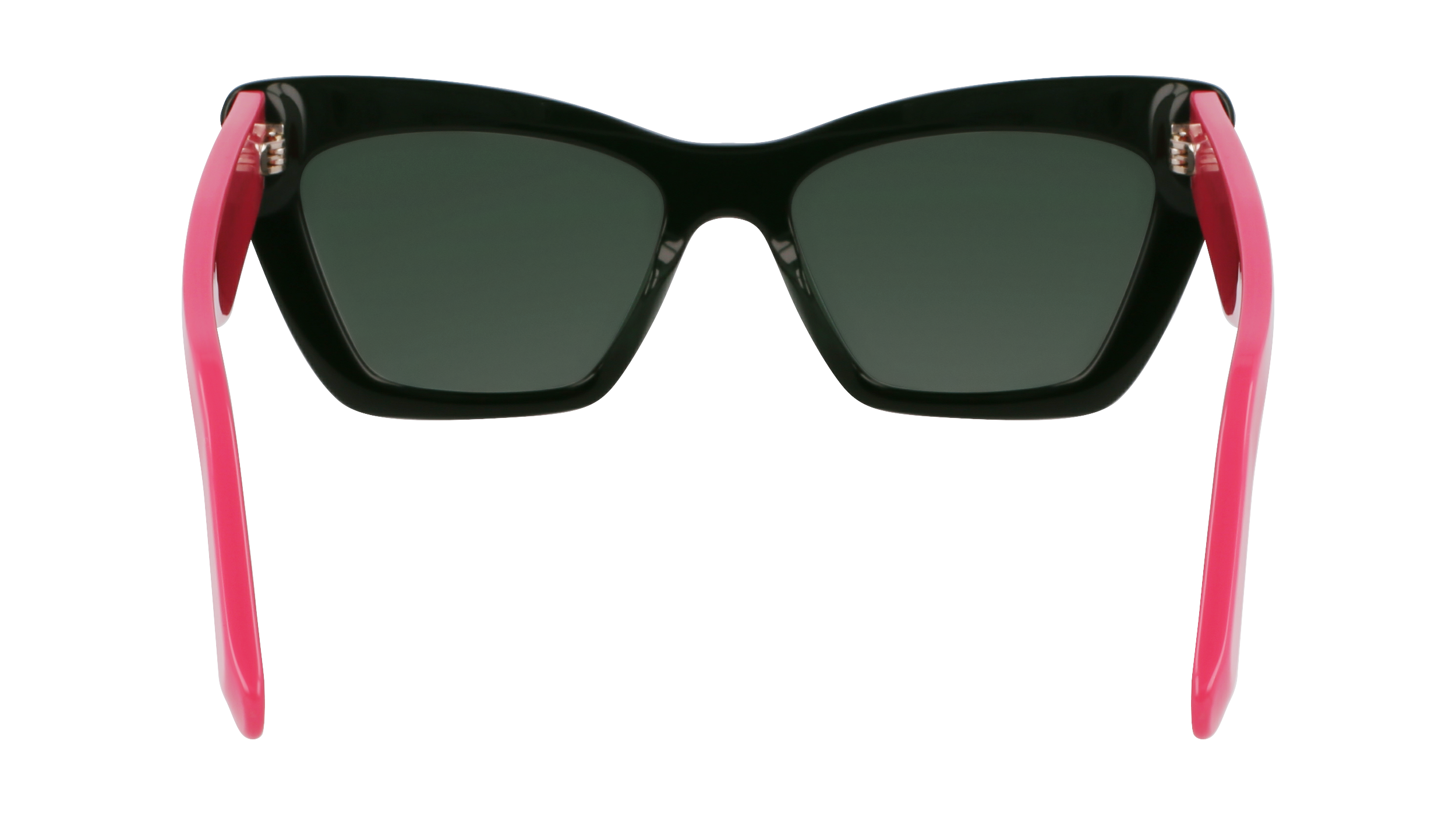 SF929SN 304 Occhiali da sole Ferragamo 6