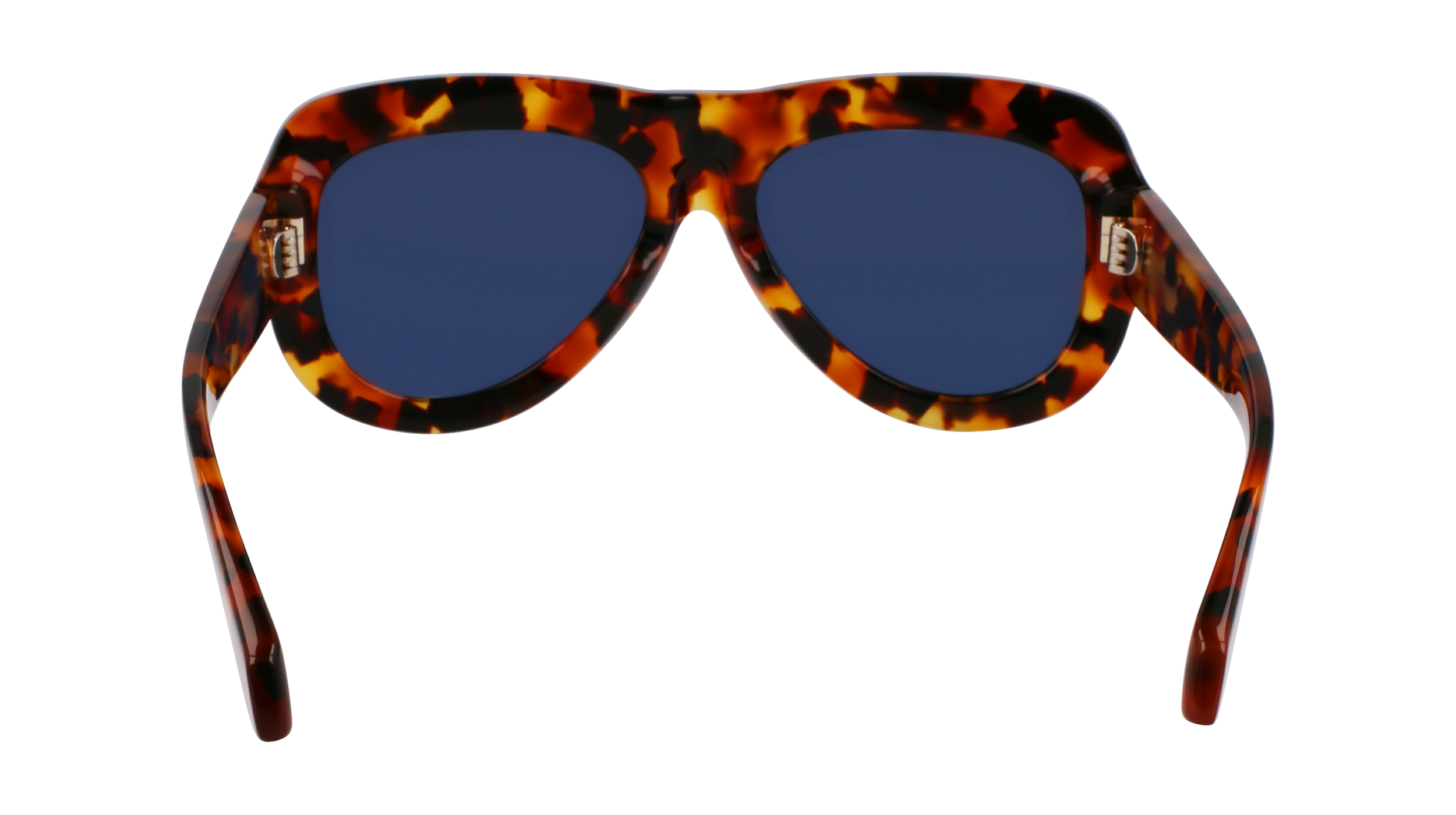 SF2029SE 240 Occhiali da sole Ferragamo 6