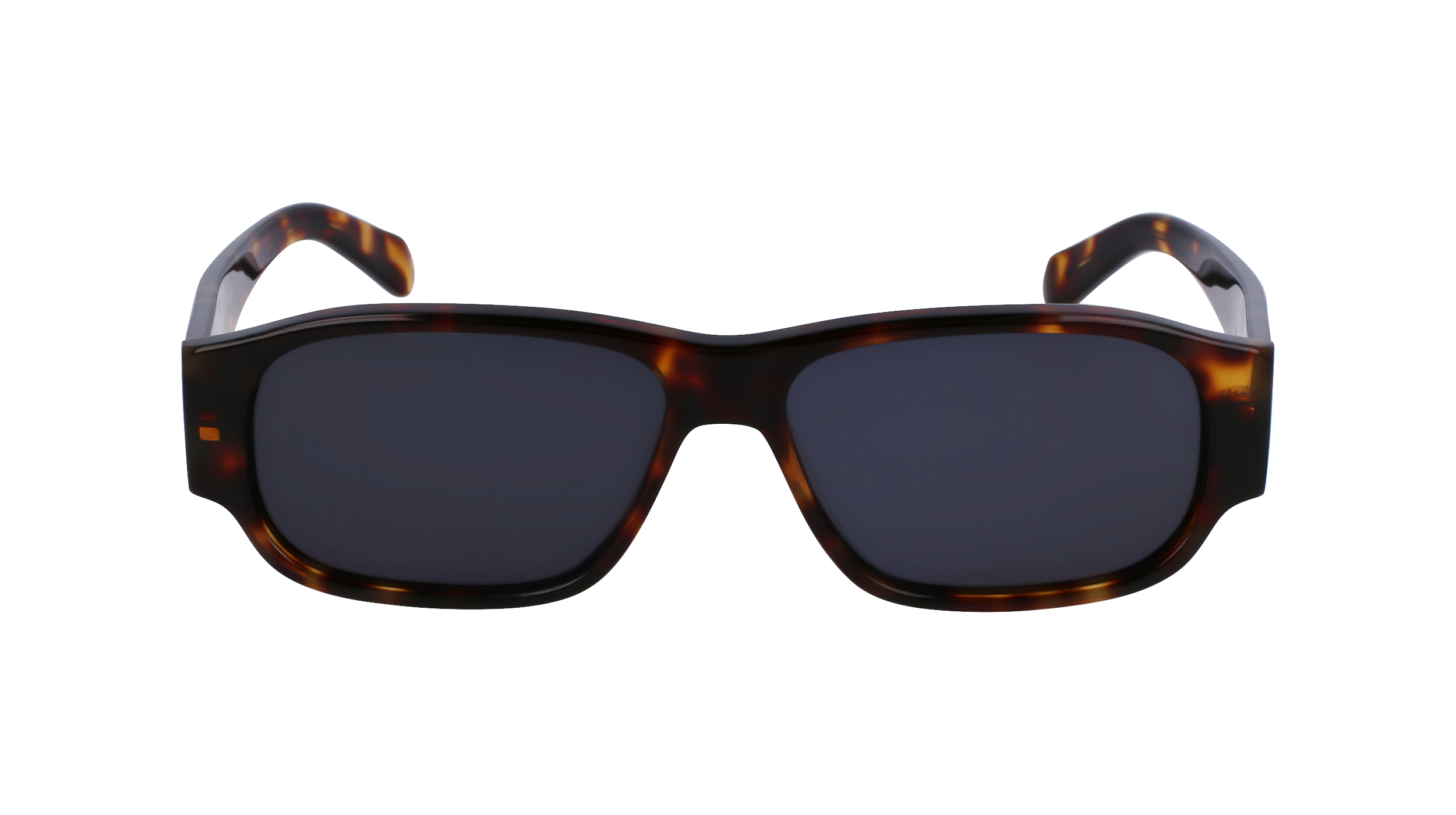 SF1109S 242 Occhiali da sole Ferragamo 2