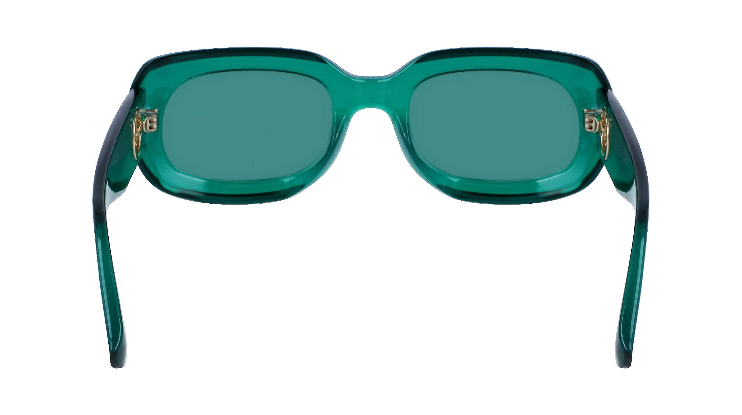 LO716S 303 Occhiali da sole LONGCHAMP 5