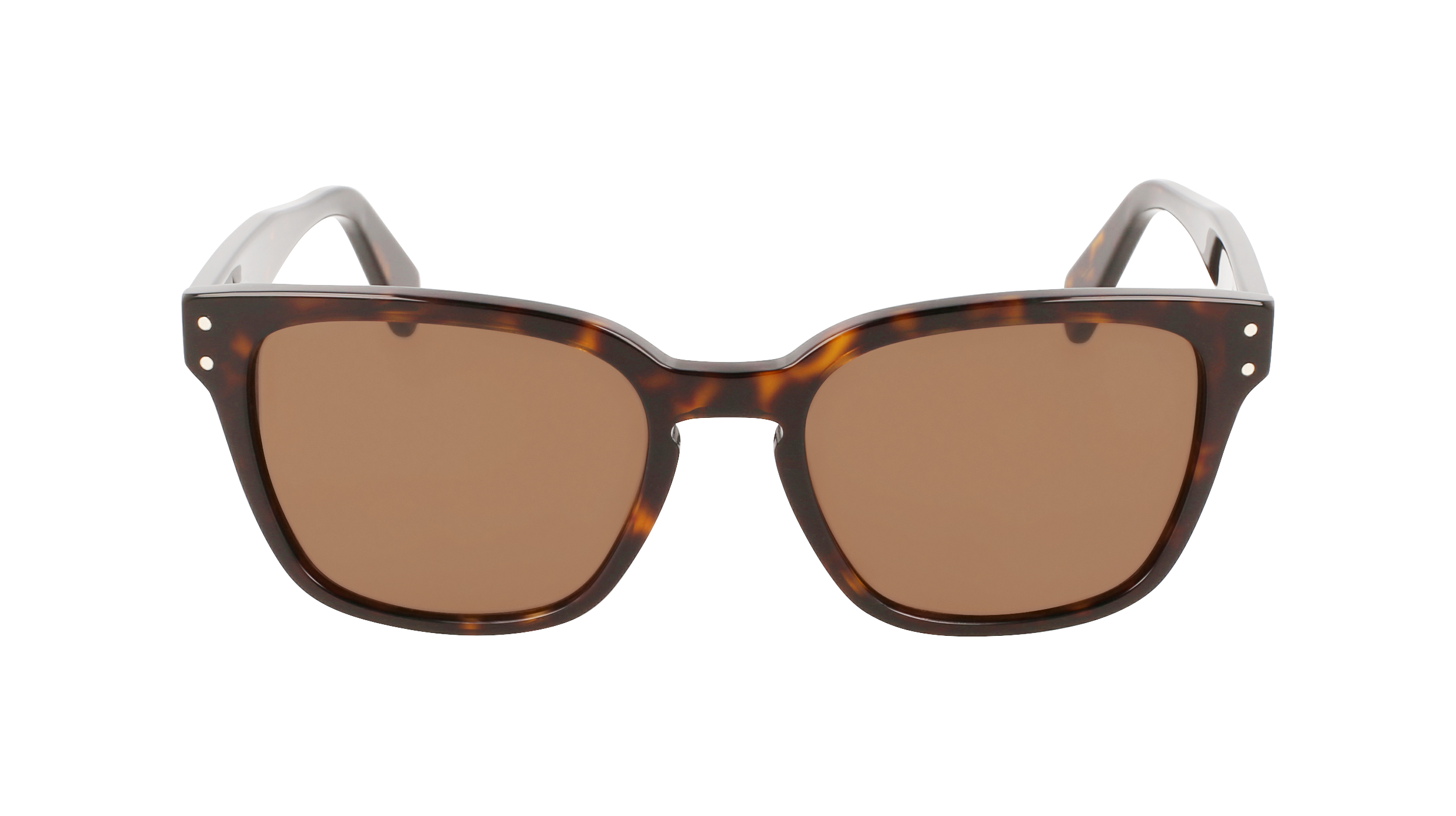 SF1040S 240 Occhiali da sole Ferragamo 2