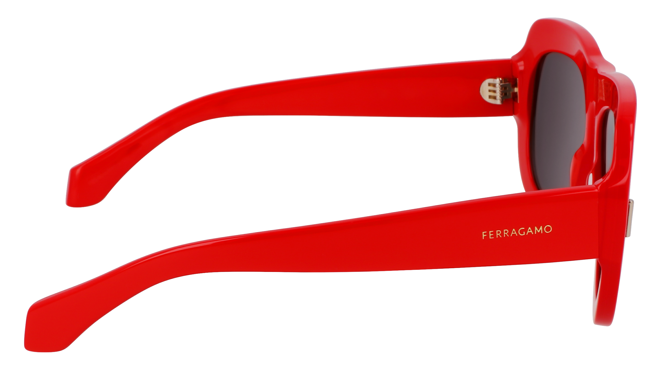 SF2029SE 600 Occhiali da sole Ferragamo 7