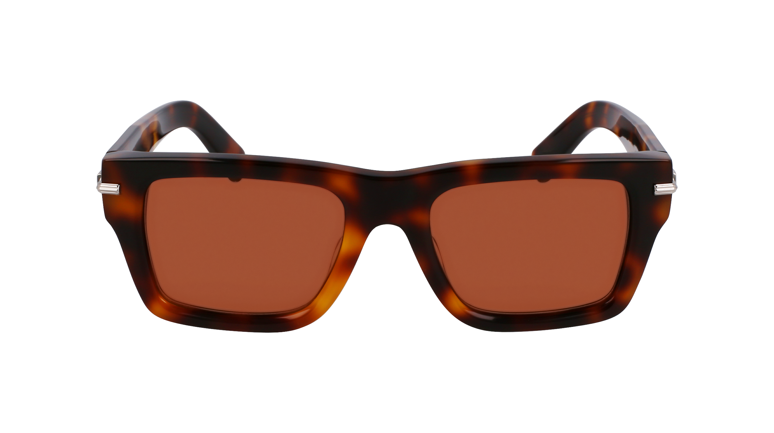 SF2033S 240 Occhiali da sole Ferragamo 2