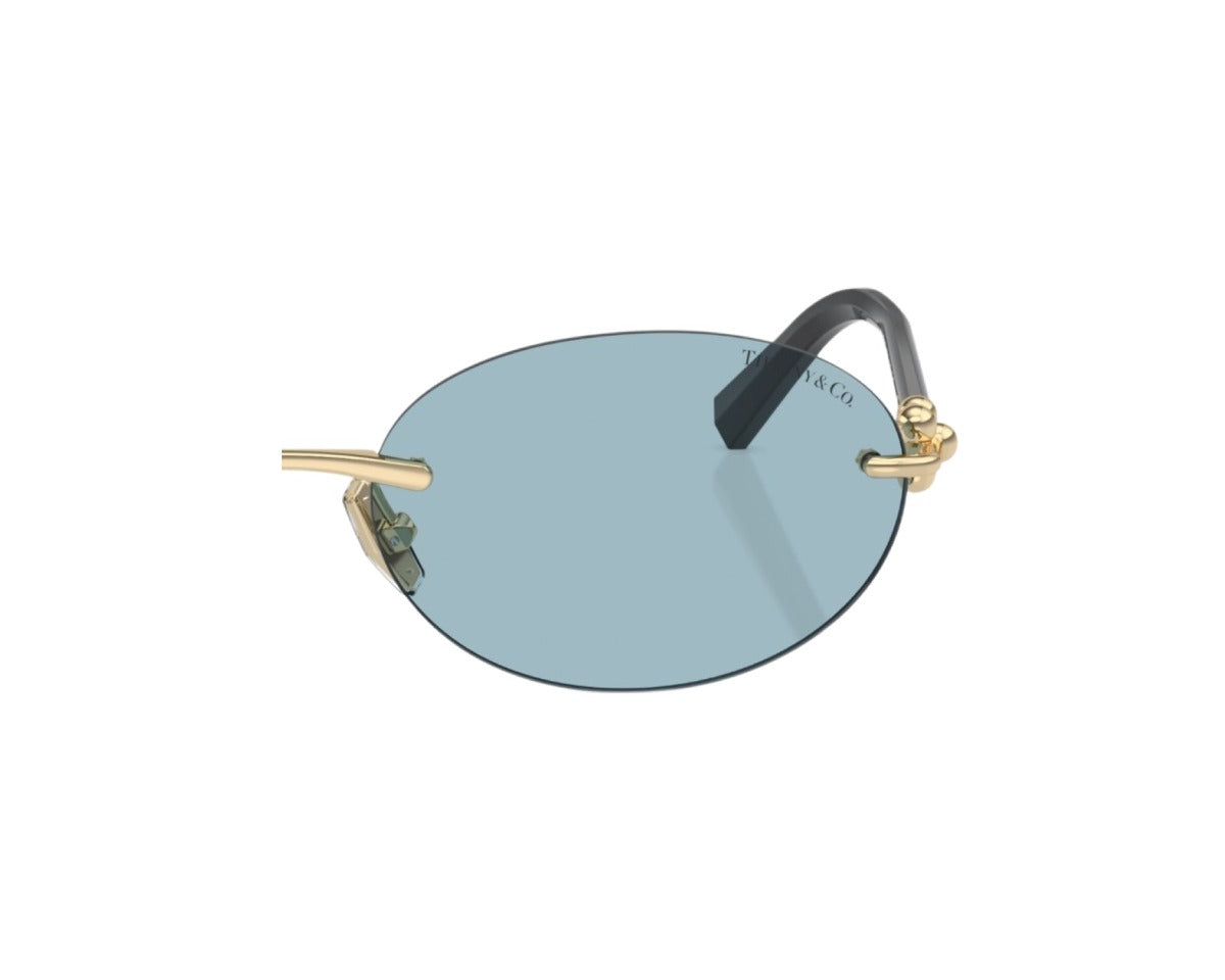 Tiffany Coppia di Lenti di ricambio TF3104D Lenti di ricambio Tiffany Blu 000041539019 1