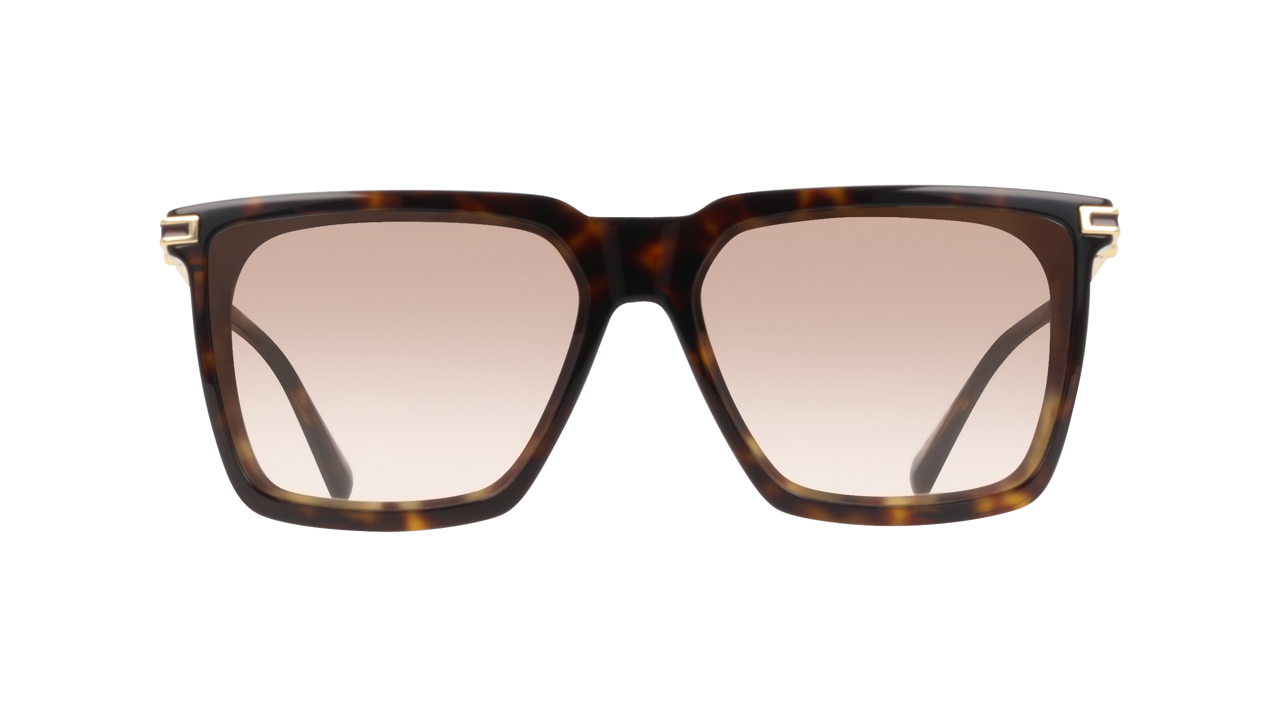 SF2077SLBI 242 Occhiali da sole Ferragamo 2