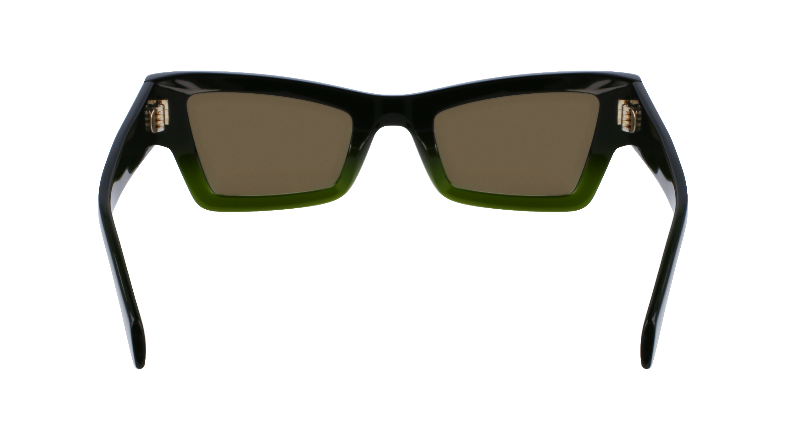 SF2006S 316 Occhiali da sole Ferragamo 6