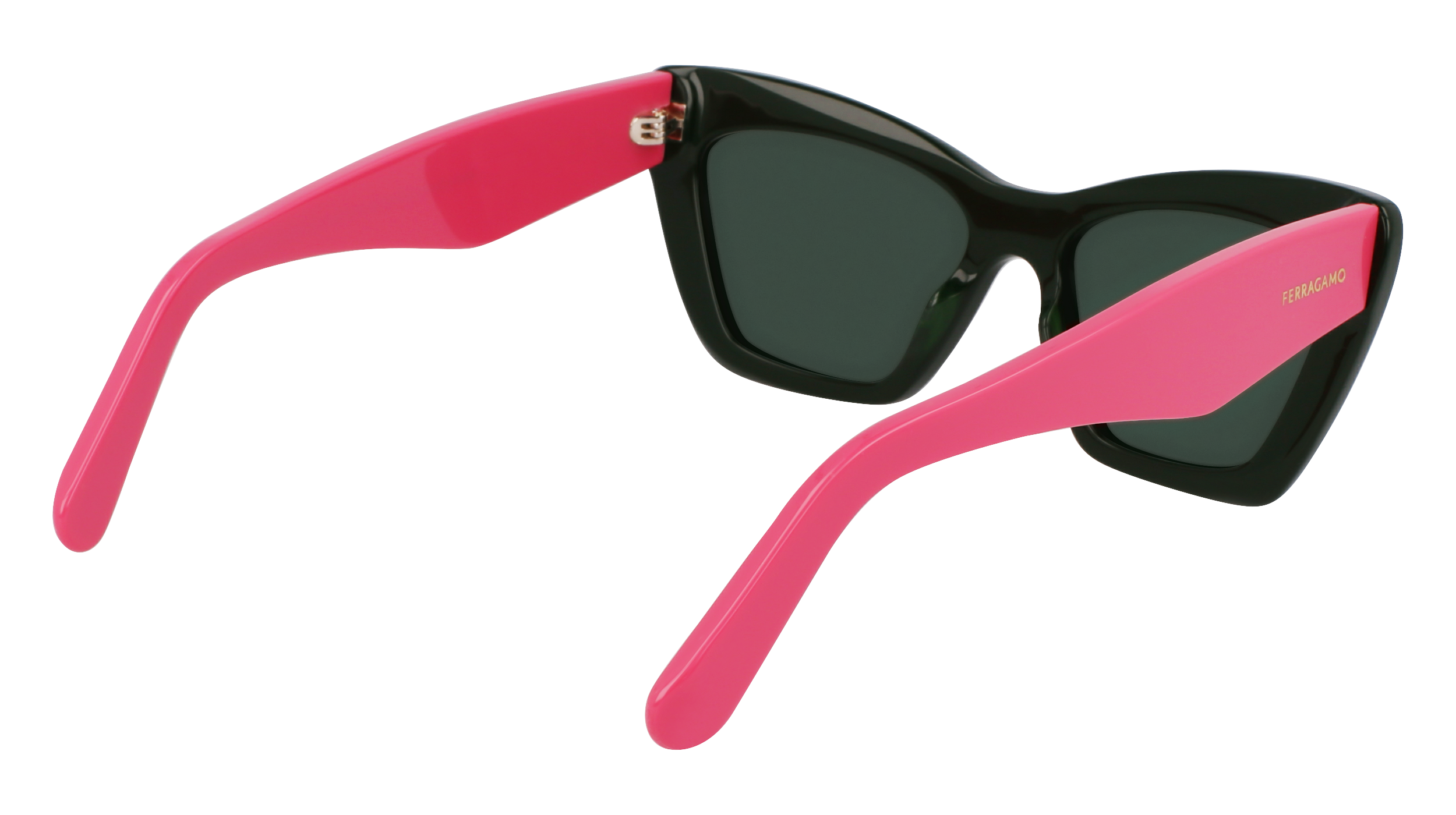 SF929SN 304 Occhiali da sole Ferragamo 5