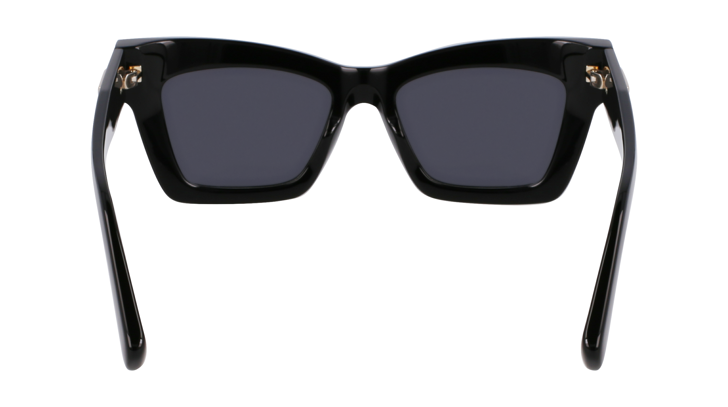 SF2031S 001 Occhiali da sole Ferragamo 6
