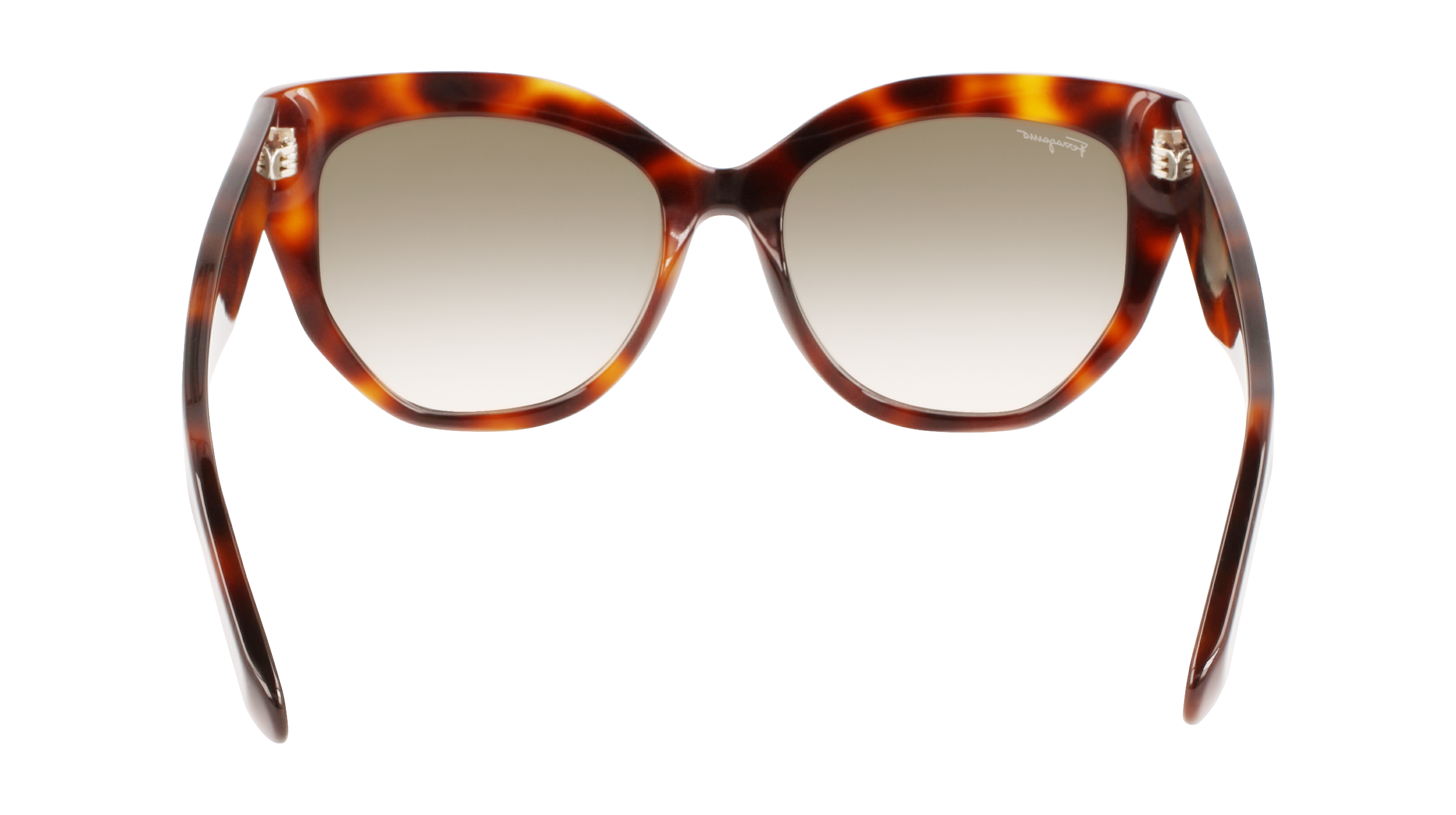 SF1061S 240 Occhiali da sole Ferragamo 6