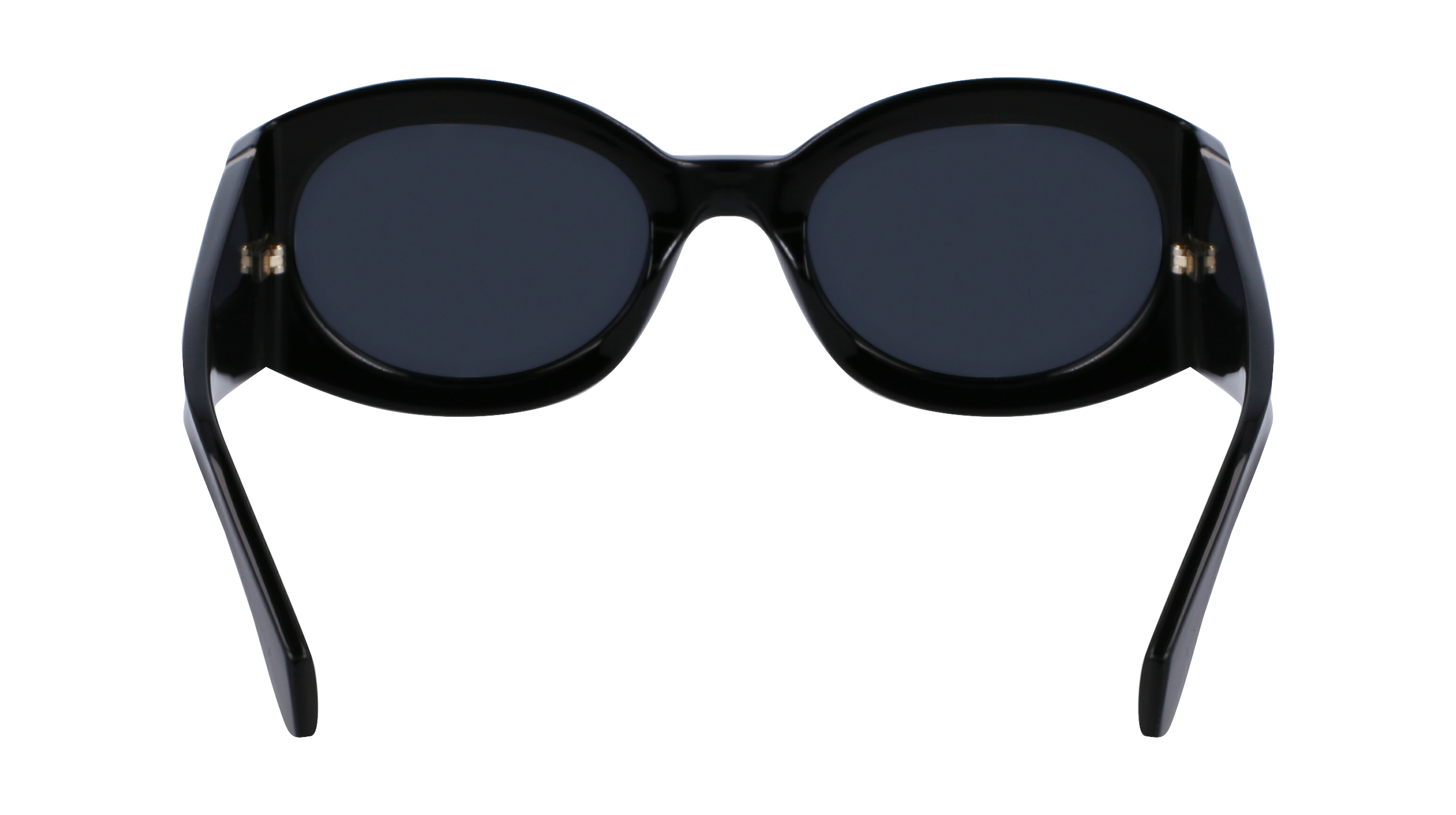 SF2008S 001 Occhiali da sole Ferragamo 6