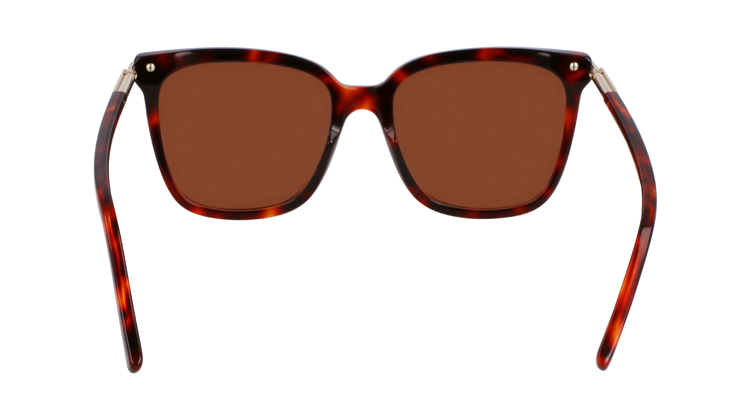 SF2037S 640 Occhiali da sole Ferragamo 6