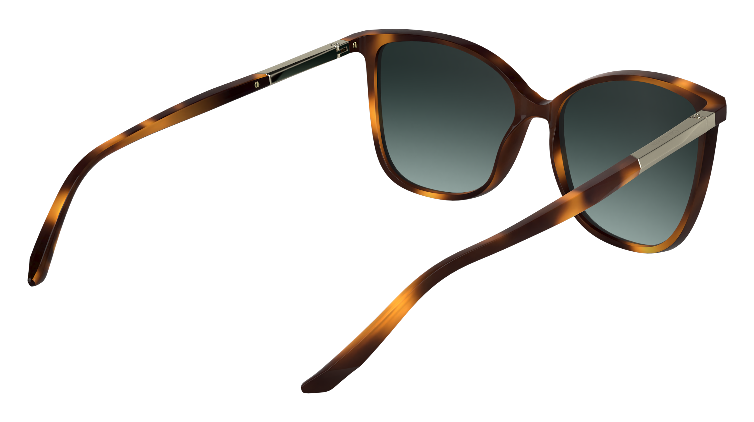 CK25504S 240 Occhiali da sole Calvin Klein 6