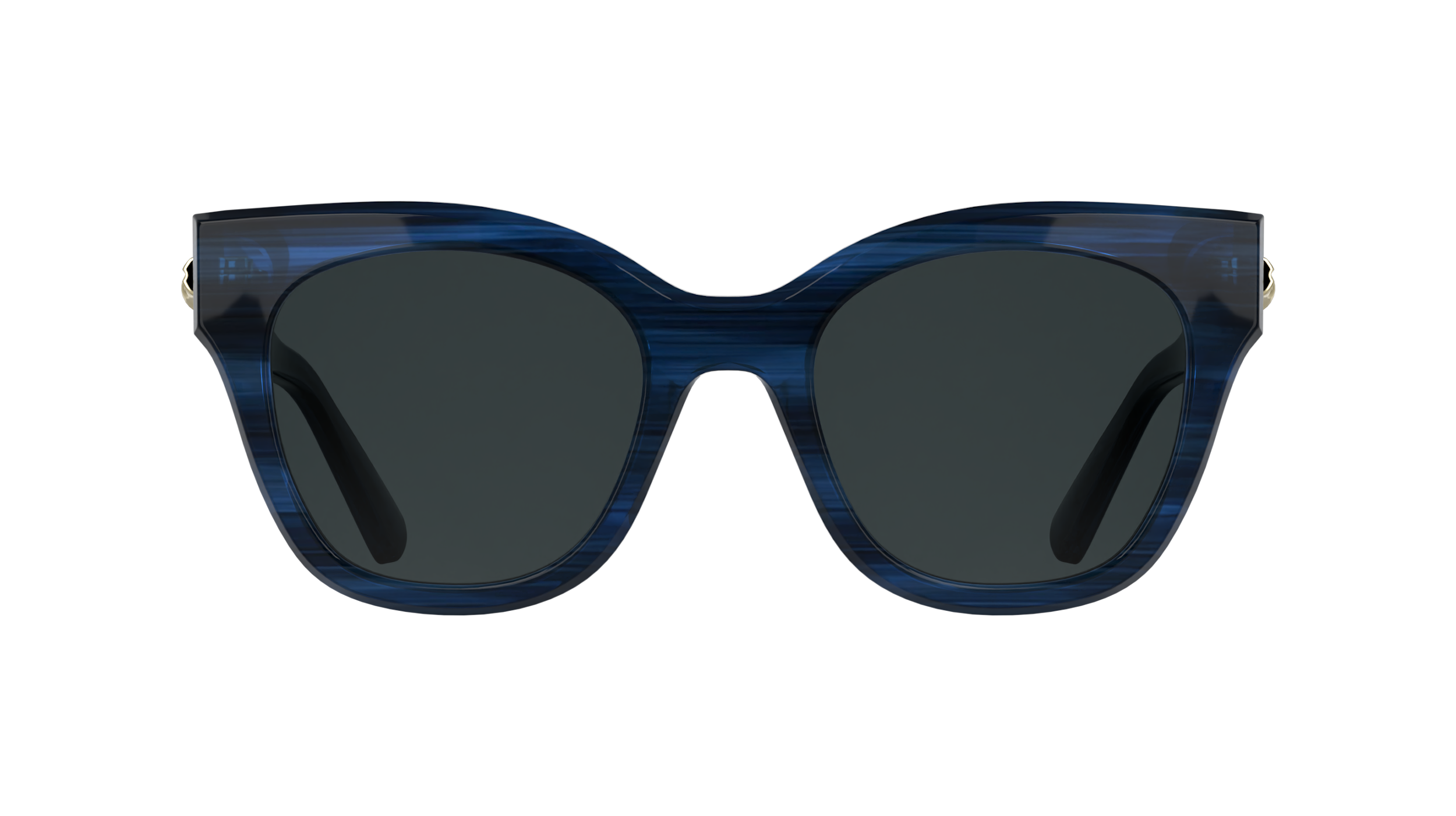 LO791S 407 Occhiali da sole LONGCHAMP 2