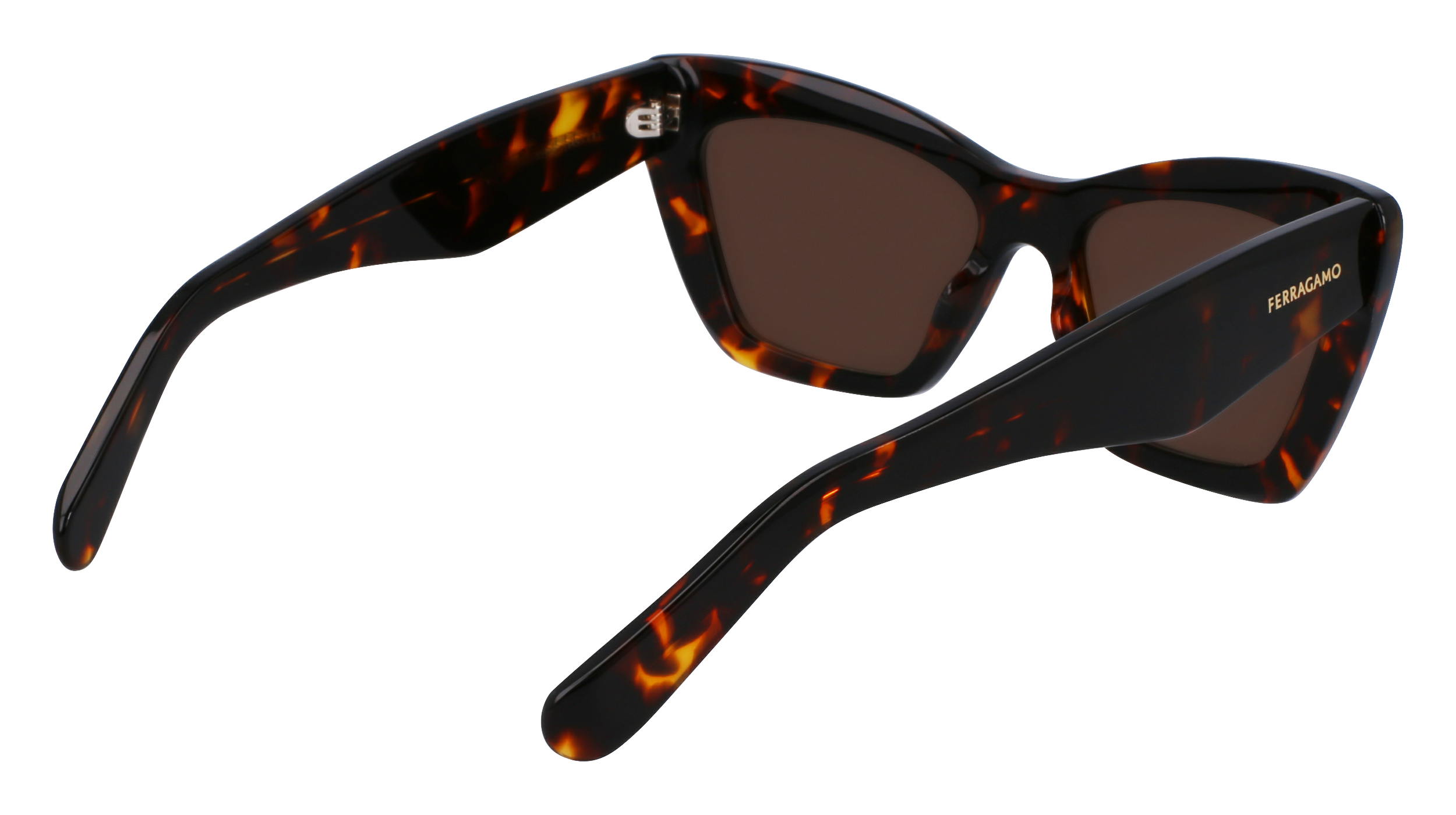 SF929SN 242 Occhiali da sole Ferragamo 5