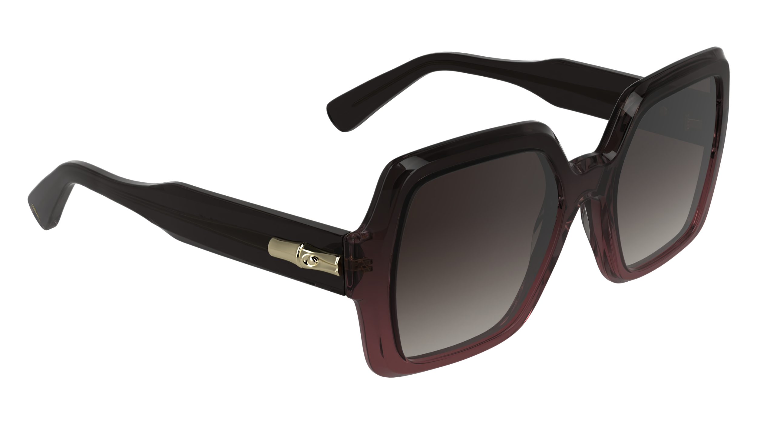 LONGCHAMP LO790S 604