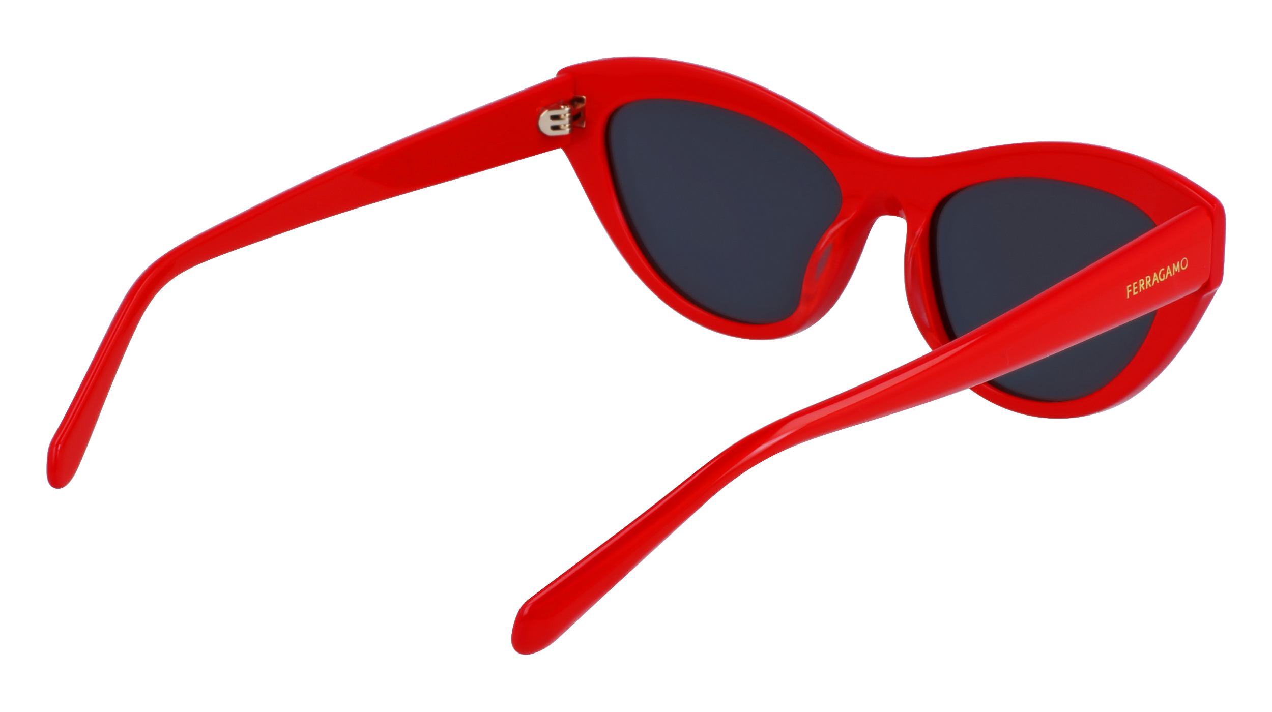 SF1103S 600 Occhiali da sole Ferragamo 5