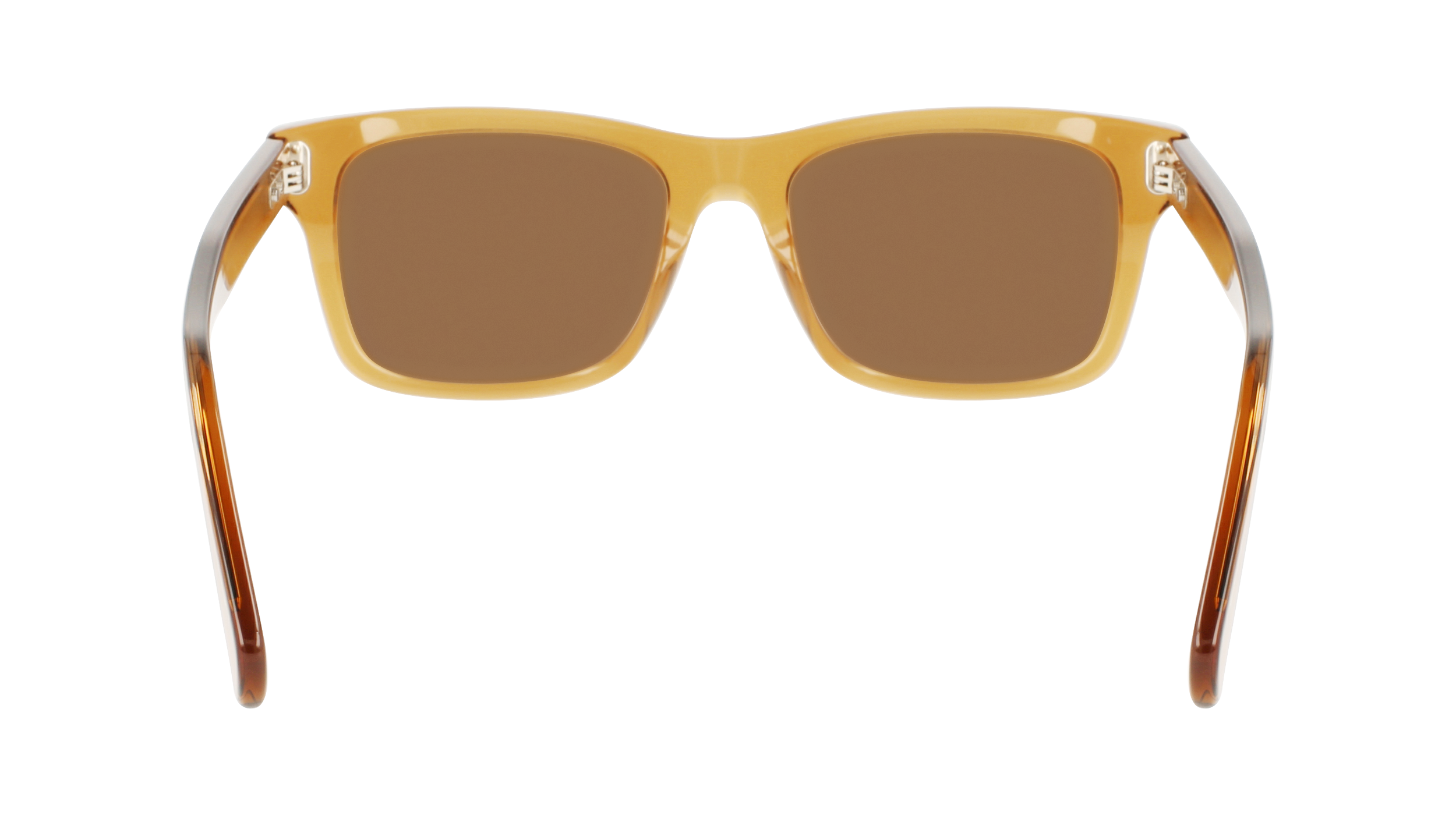 SF1039S 261 Occhiali da sole Ferragamo 5