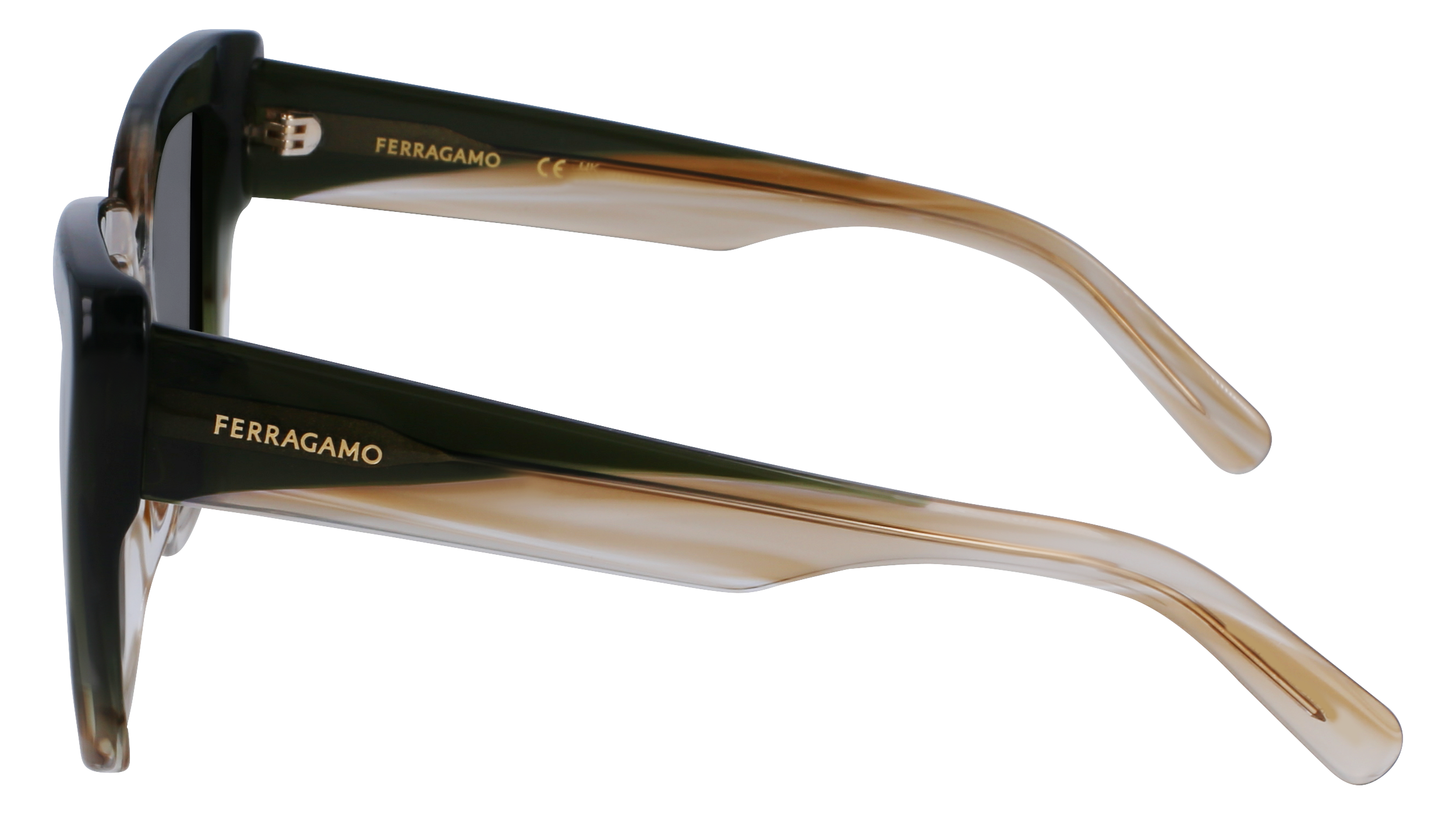 SF1060SN 263 Occhiali da sole Ferragamo 4