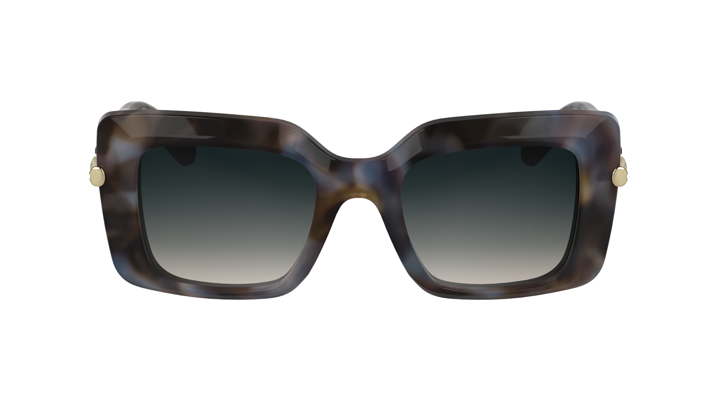 LO776S 430 Occhiali da sole LONGCHAMP 2