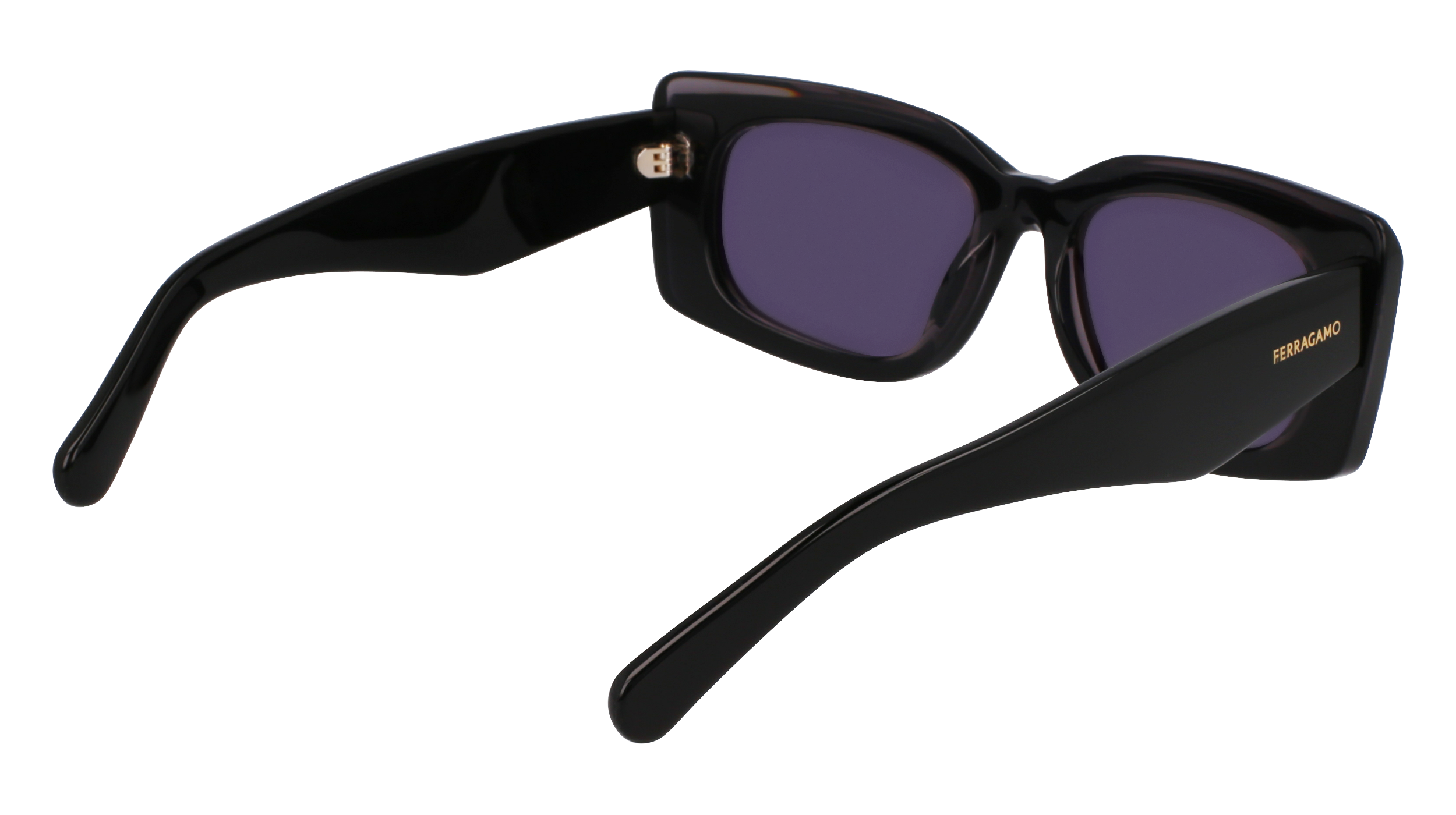 SF1079SN 022 Occhiali da sole Ferragamo 5