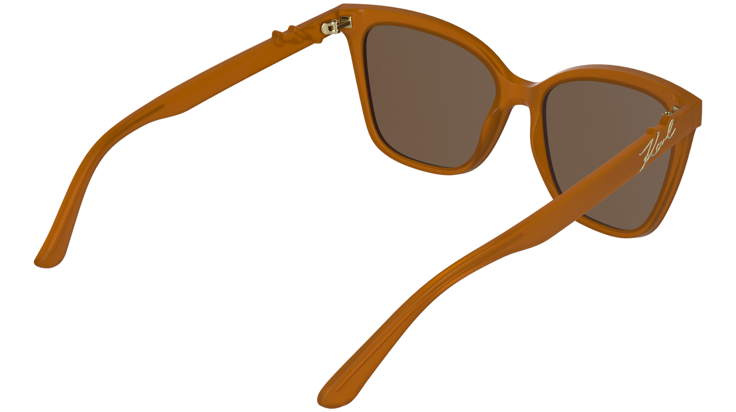 Karl Lagerfeld KL6223S 800