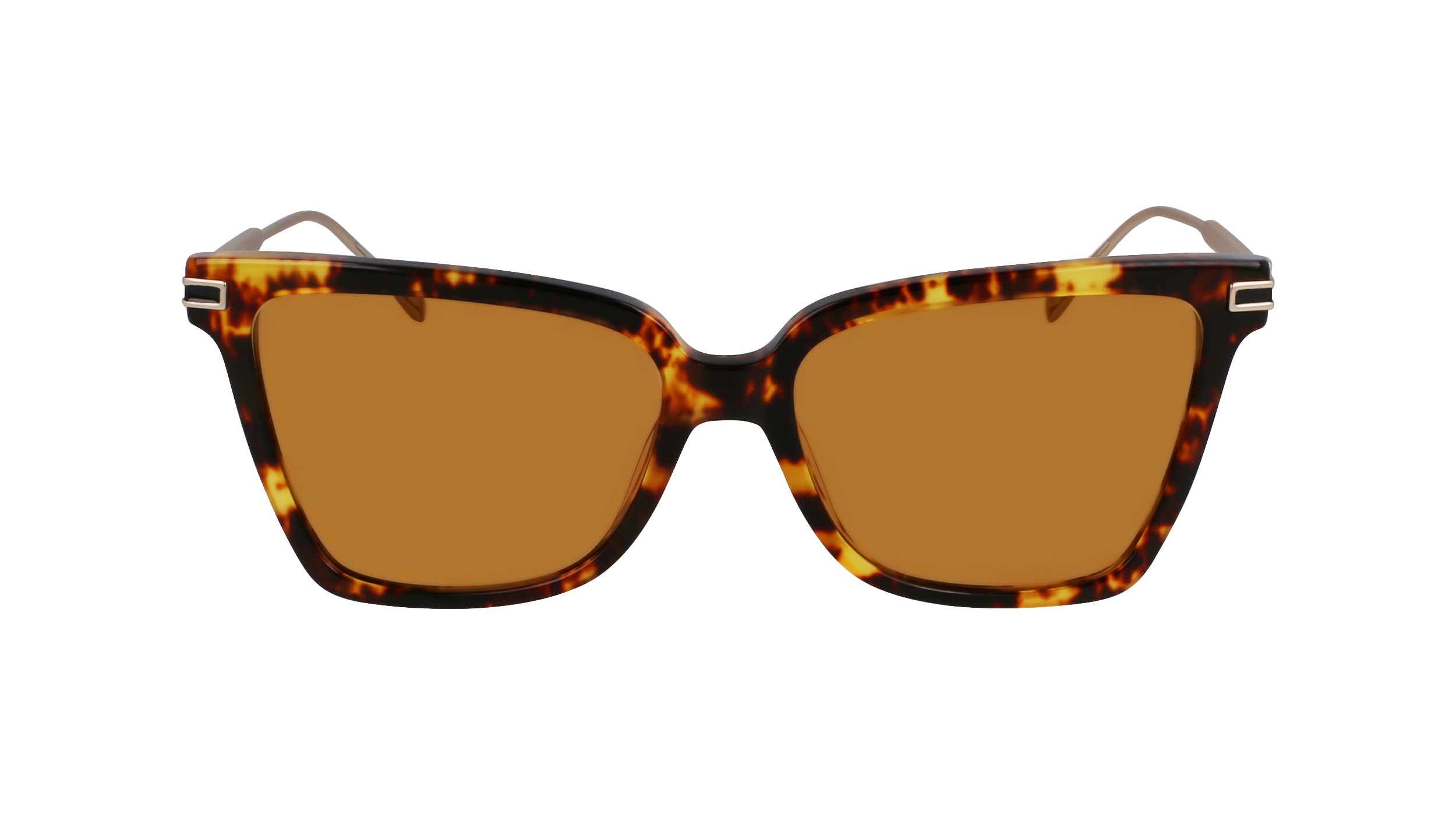 SF2036S 242 Occhiali da sole Ferragamo 2
