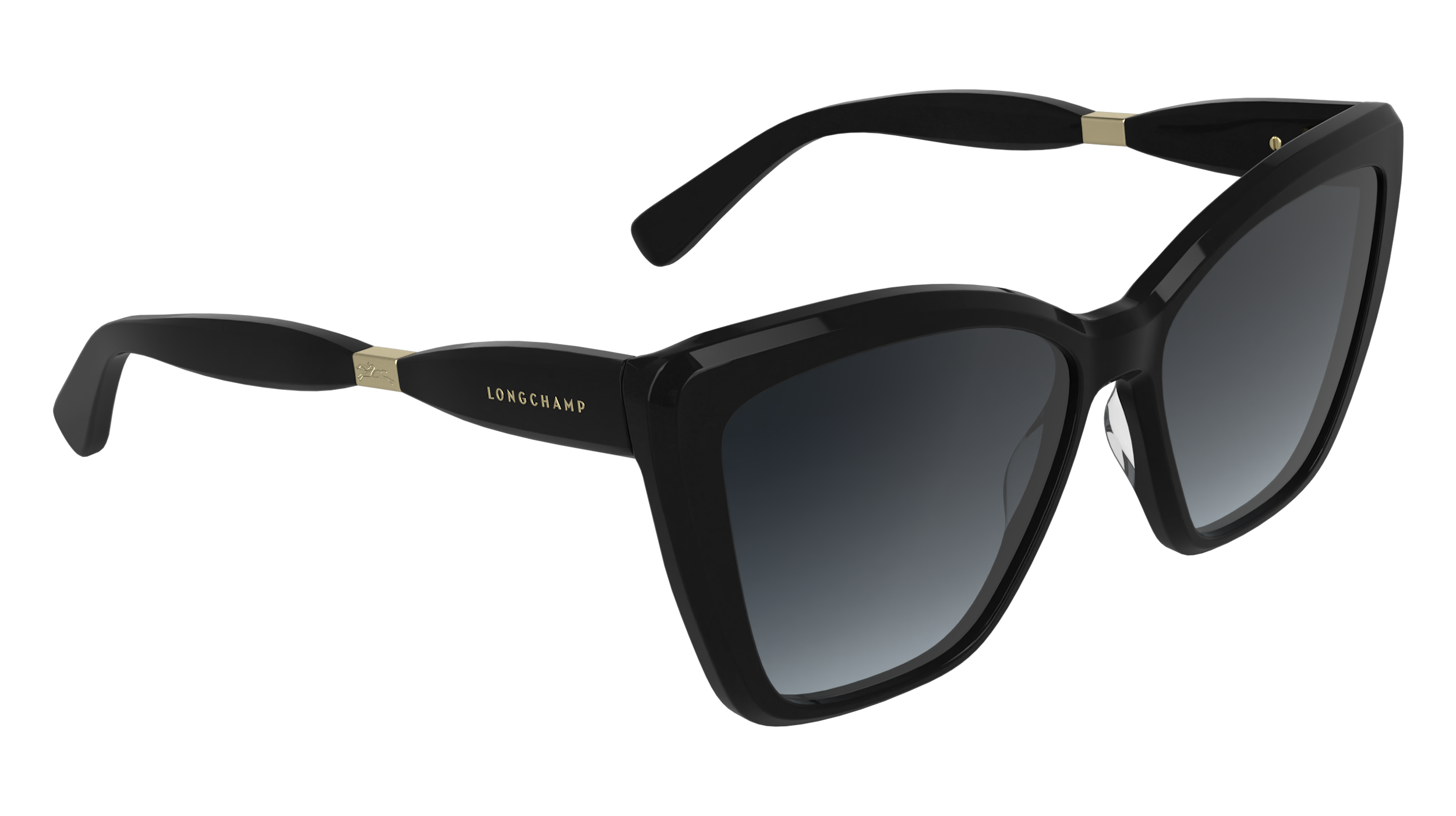 LONGCHAMP LO803S 001