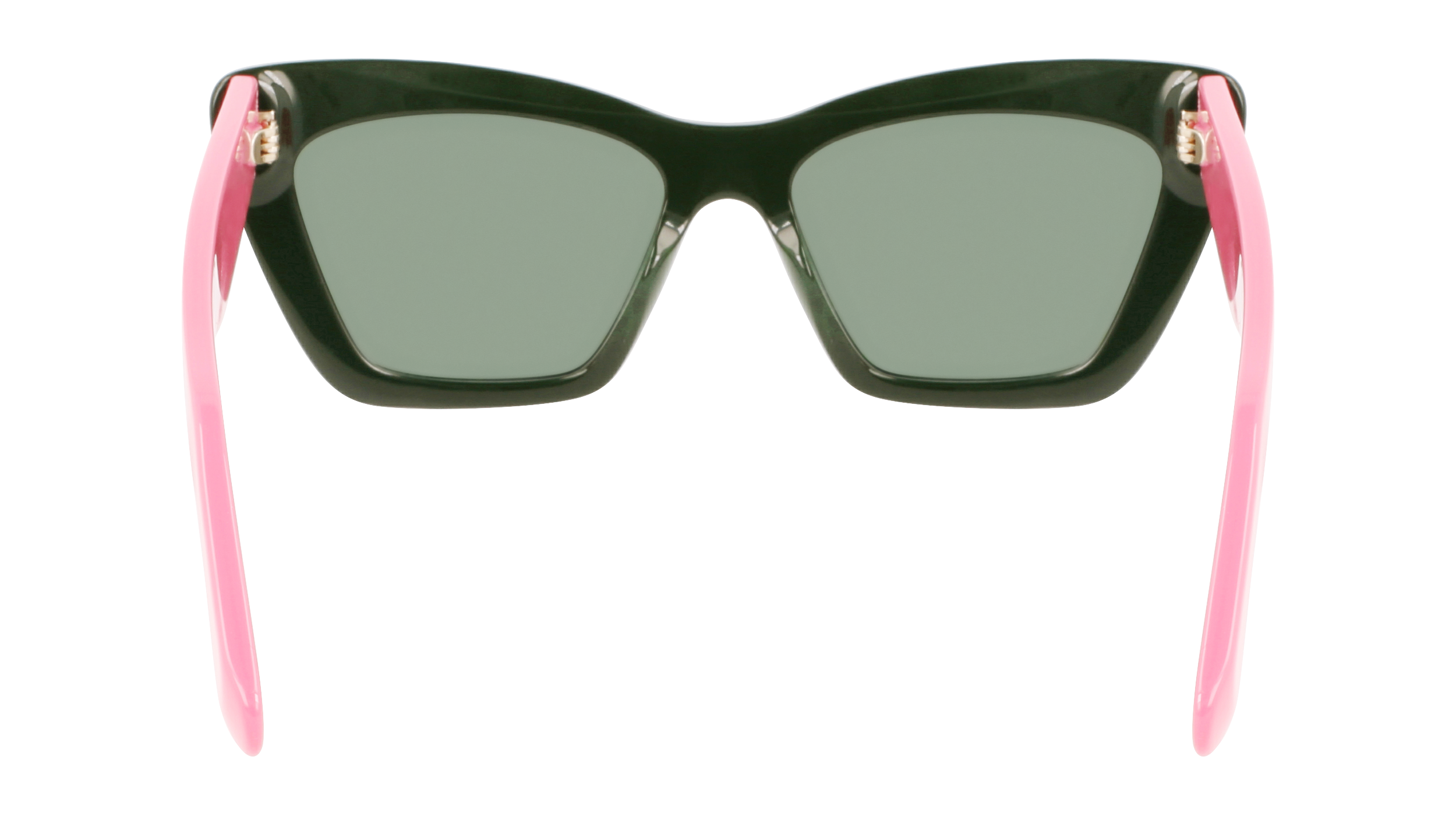 SF929S 304 Occhiali da sole Ferragamo 6