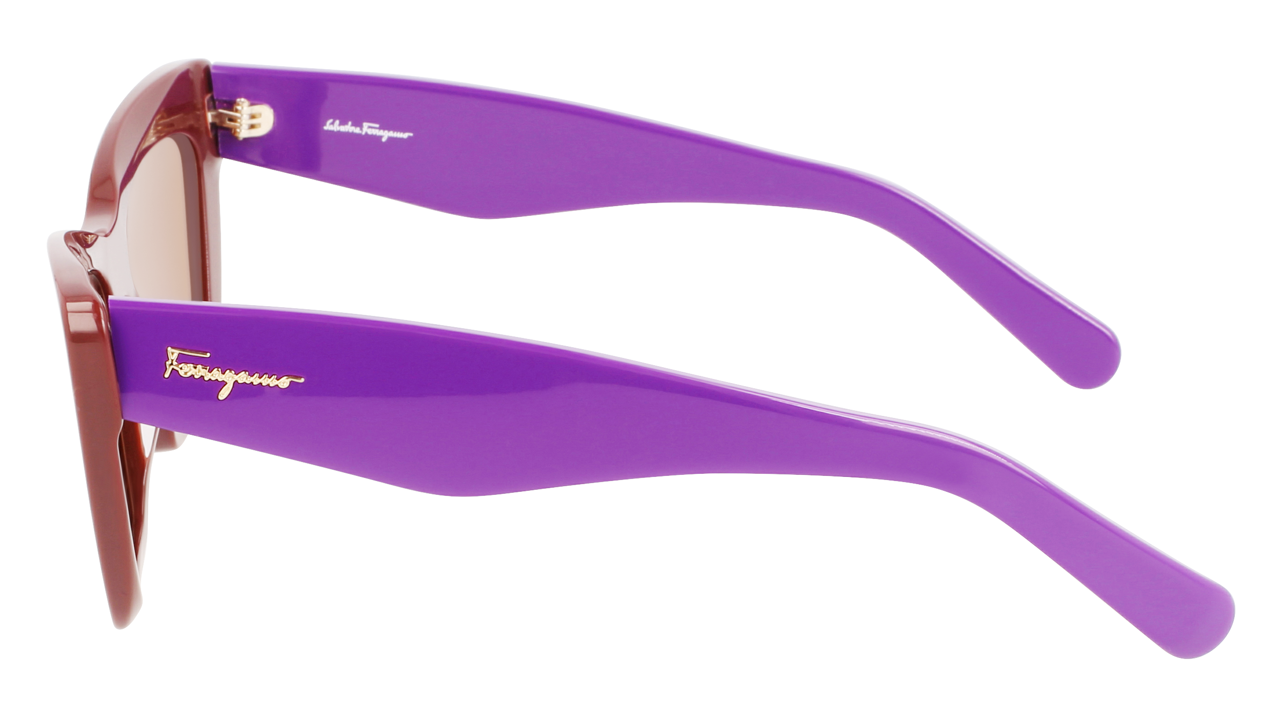 SF929S 209 Occhiali da sole Ferragamo 5