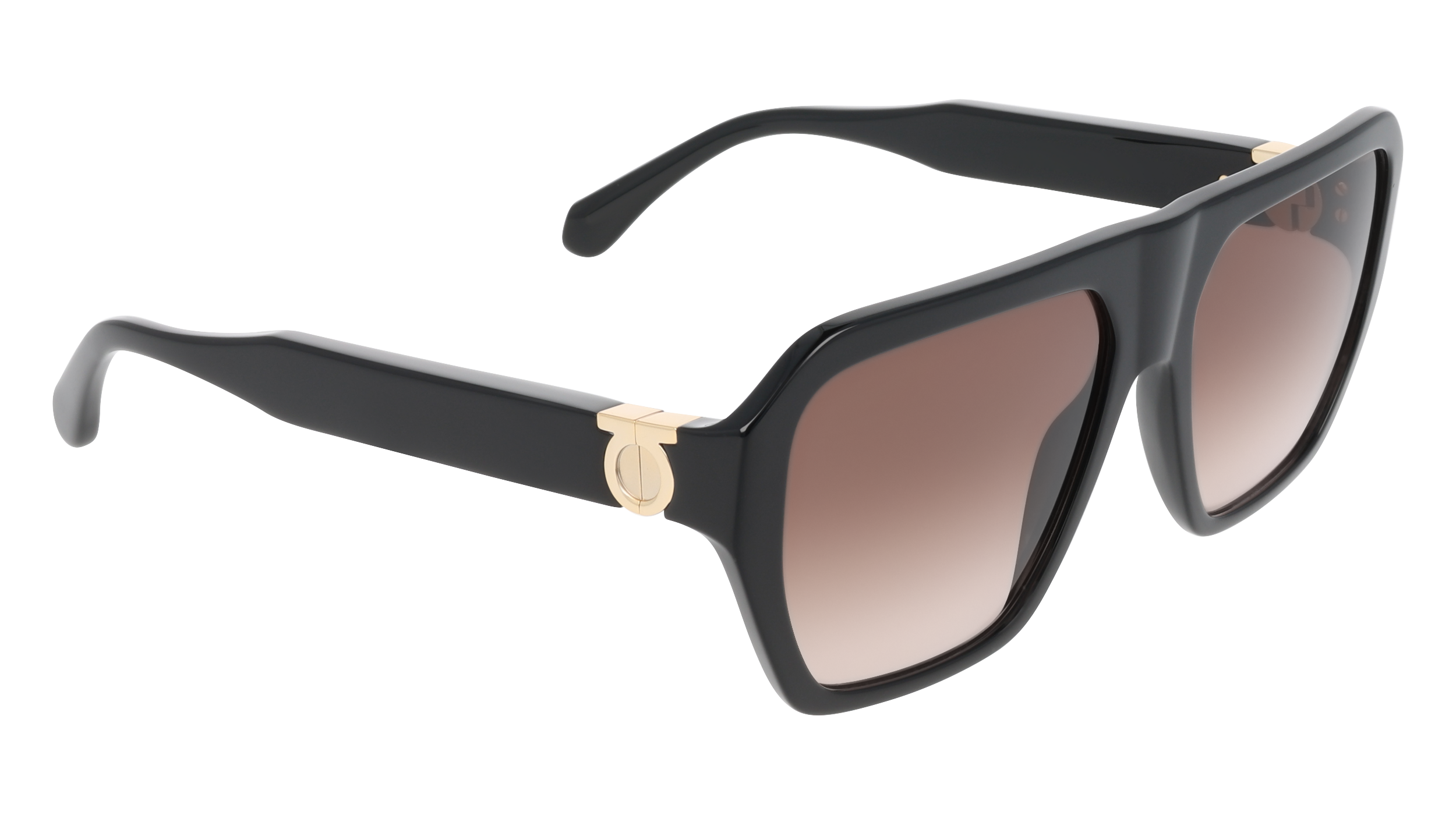 SF2080SLBI 3 Occhiali da sole Ferragamo 8