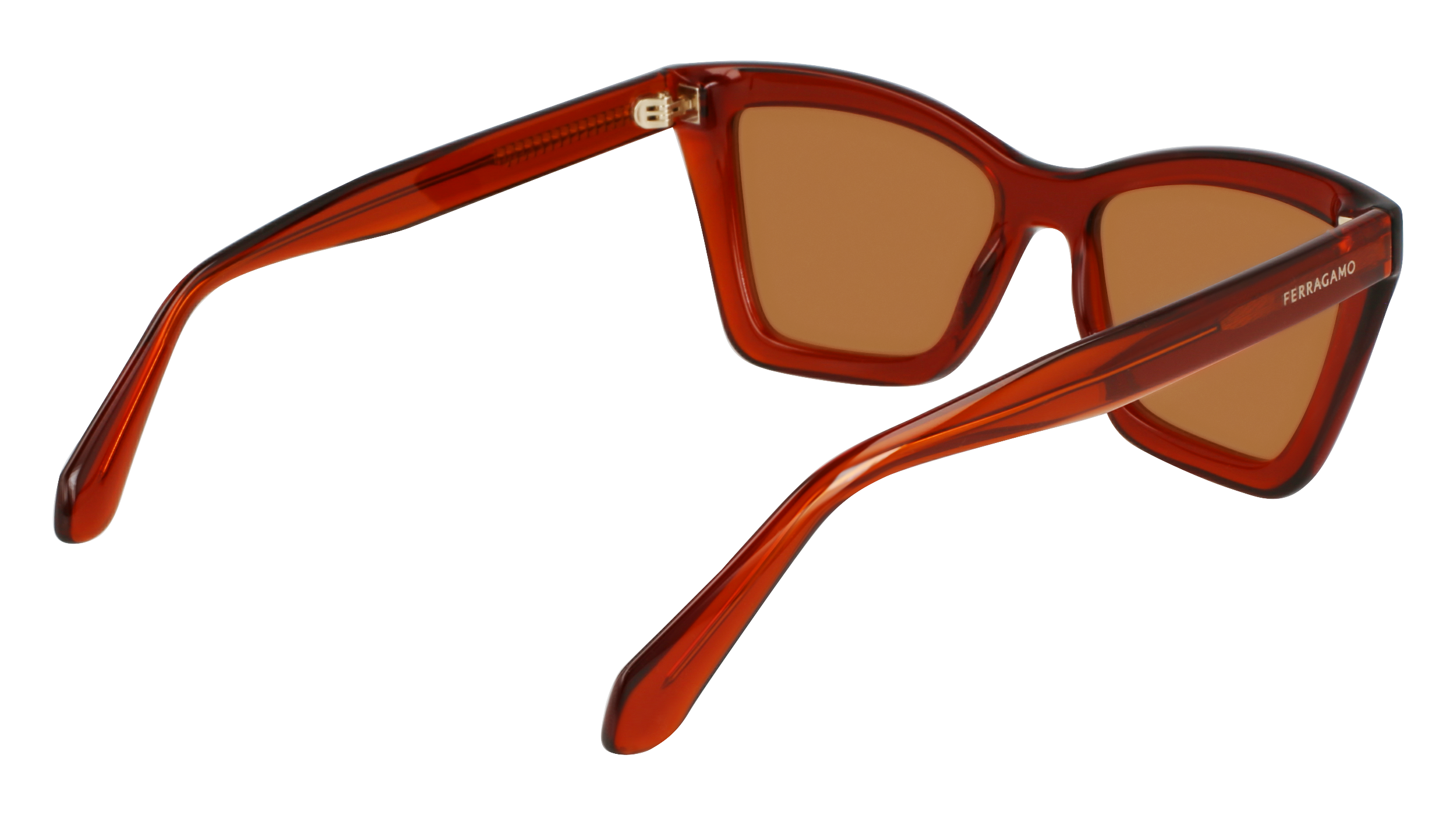 SF2039SE 224 Occhiali da sole Ferragamo 5